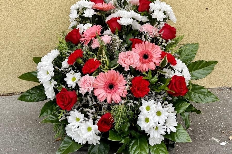 Žardina | Červeno - růžová