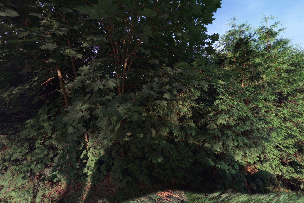 OL Energy - Ondrej Lieskovský