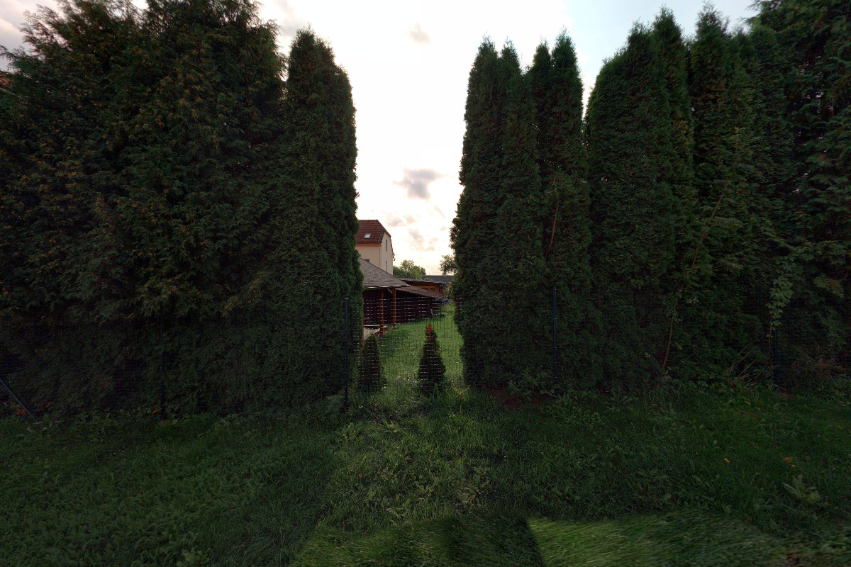 Místní knihovna Olšany