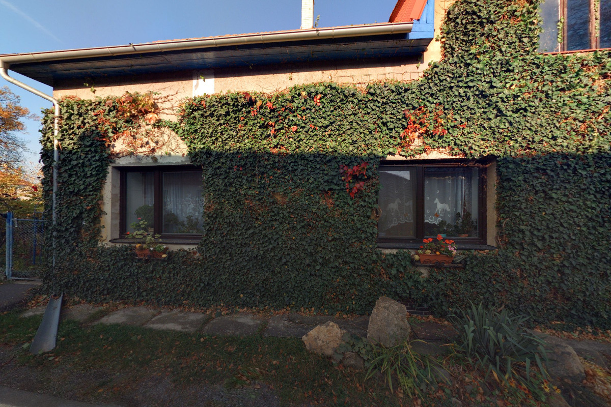 Kácení bez rizika - Michal Koten foto 2