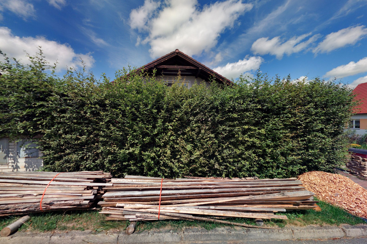 Andrea Nadrchalová - Ráj oříšků