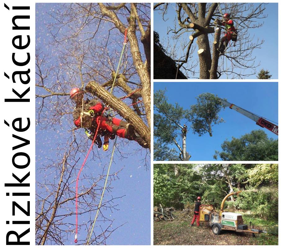 Ondřej Záhora - Arboristická činnost foto 2