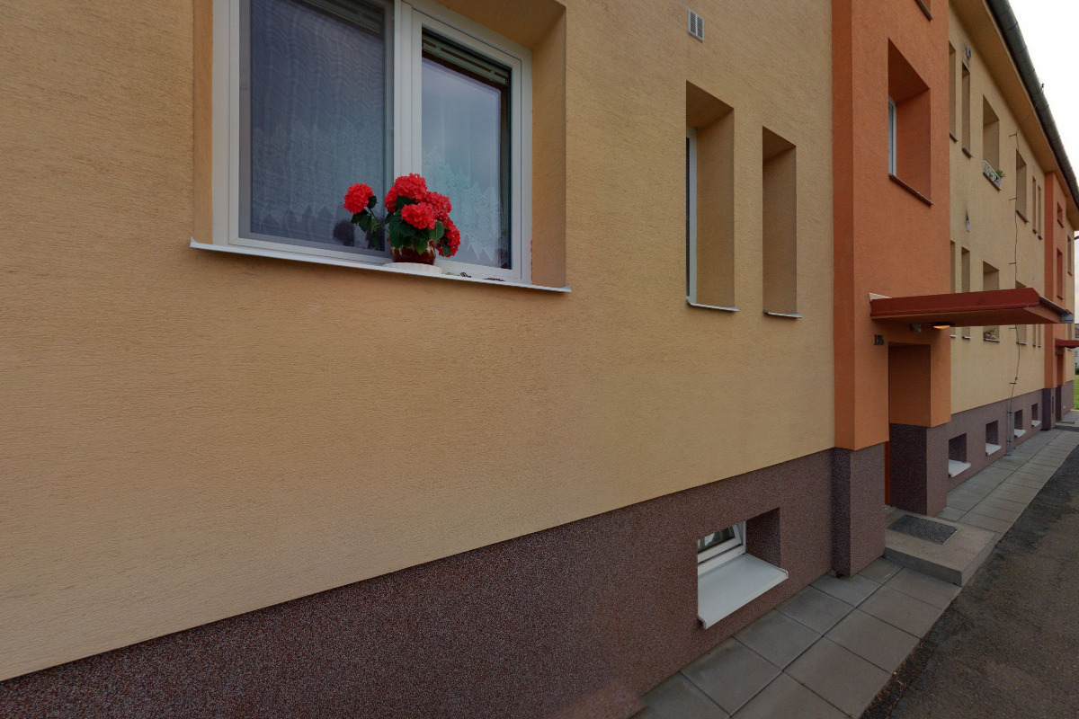 Stříhání psů - psí salon