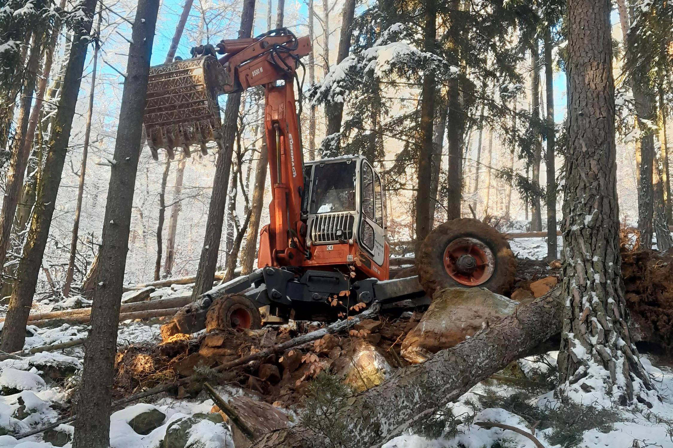 Terénní a výkopové práce Jan Čužna