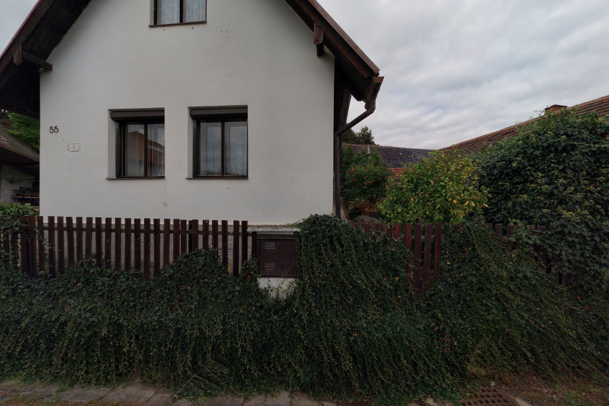 Stříhání psů Petra Němečková