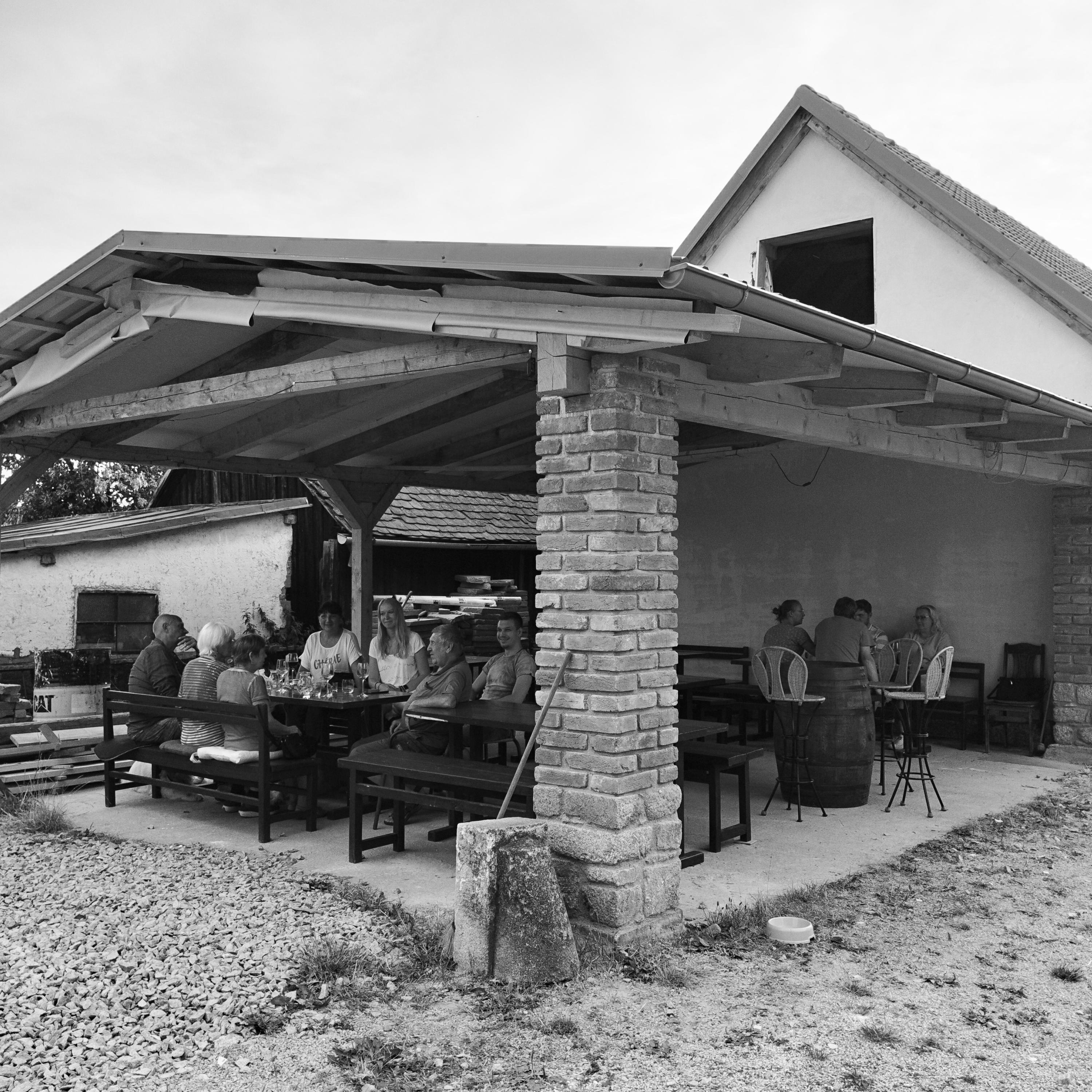 Vinotéka Slávů Dvůr foto 6