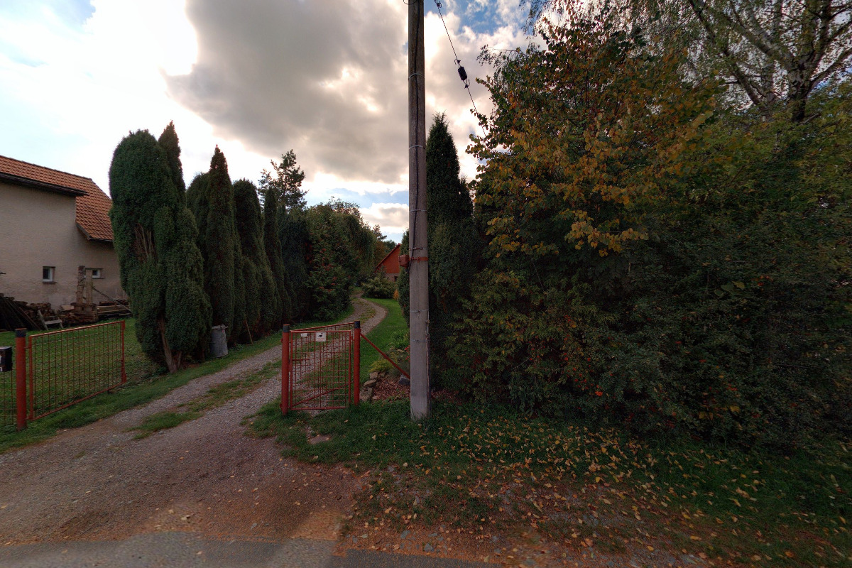 Iva Tvrdíková - hlídání psů