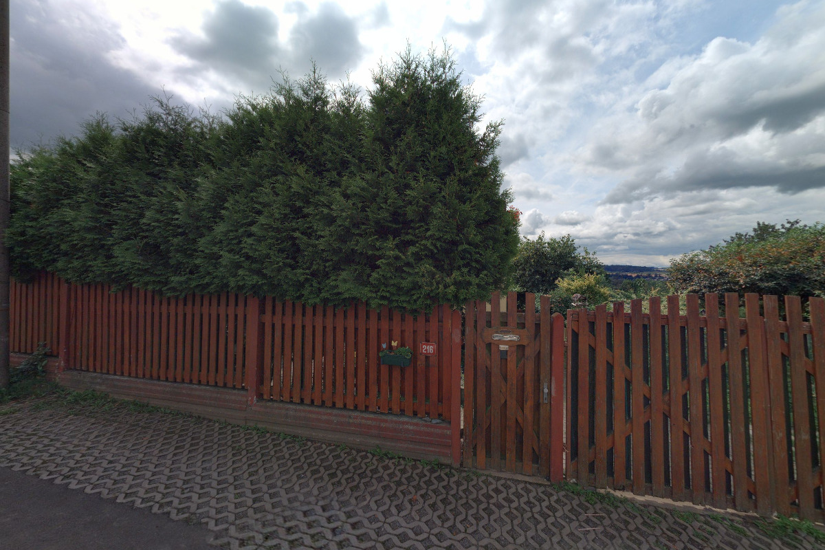 David Zdrha - střihač ovcí foto 4