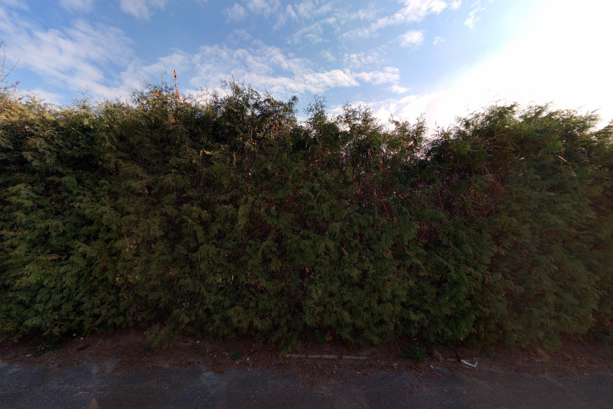 nohynkova.com foto 1