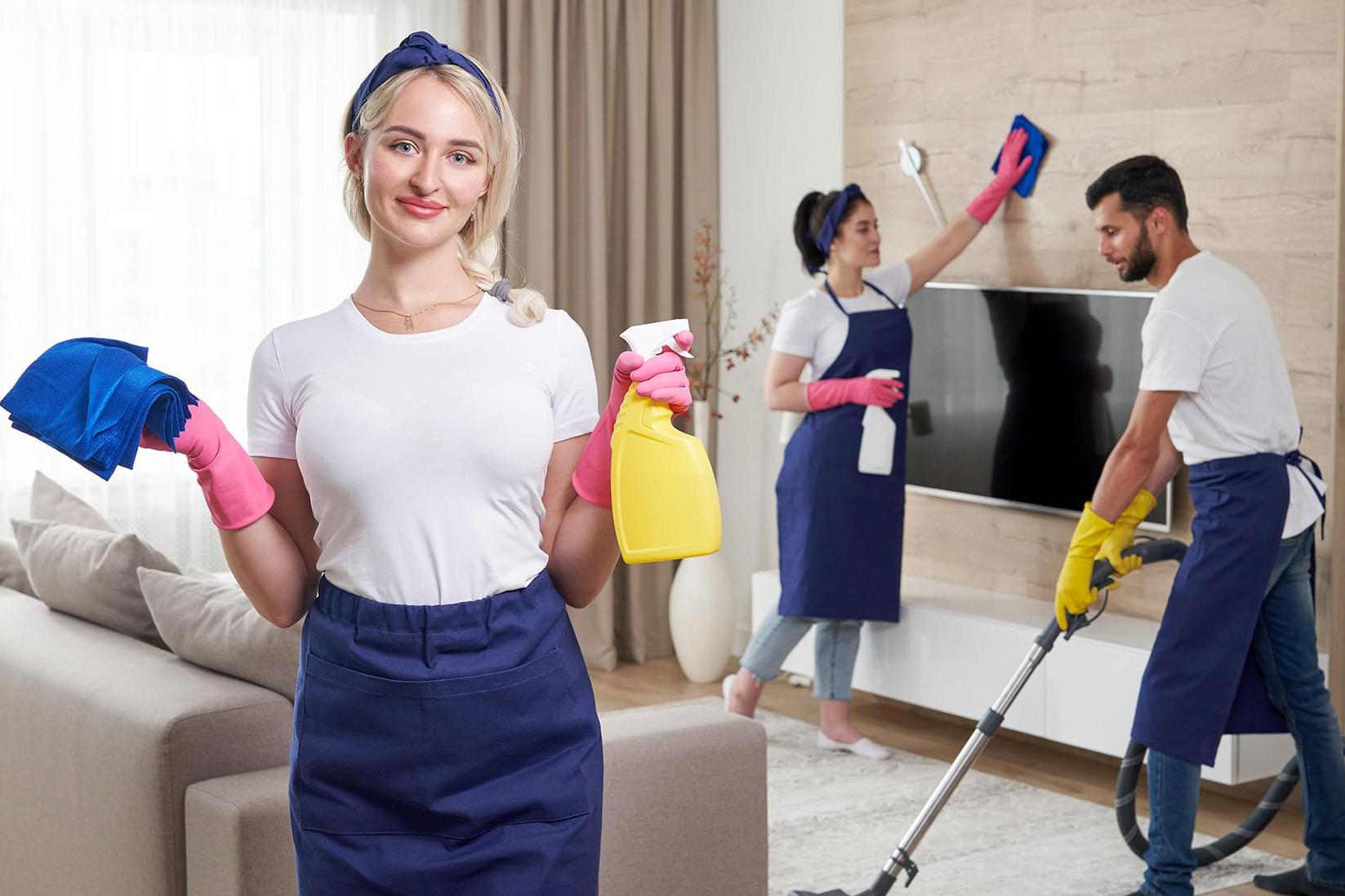 Jednorázový úklid