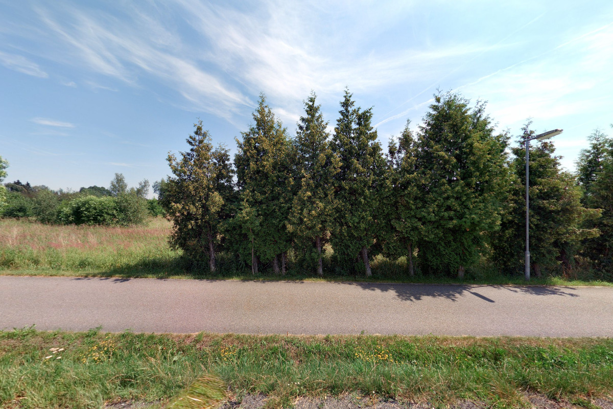 KODEX Knoflíček, s.r.o.