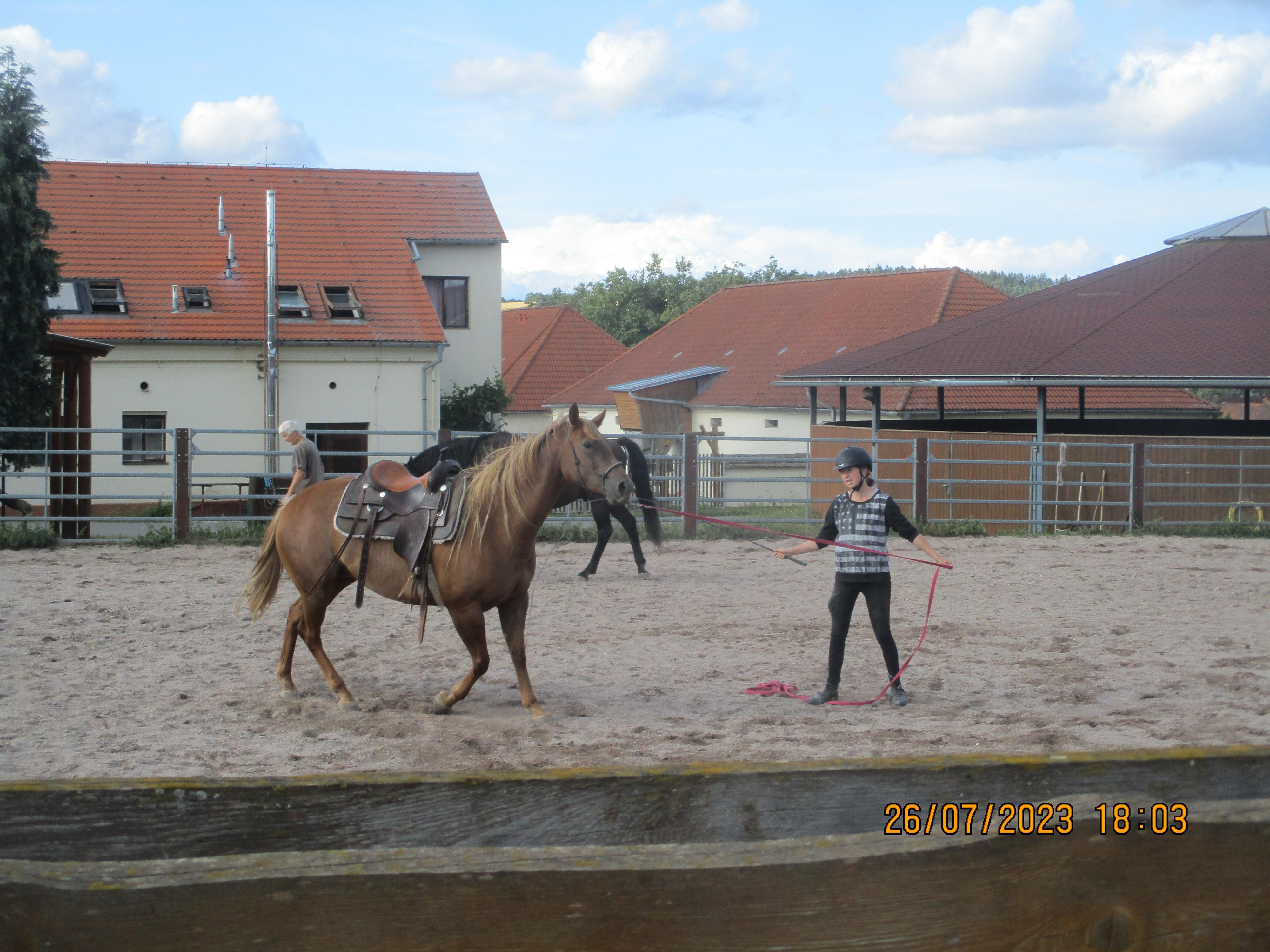 Galloway farma foto 2