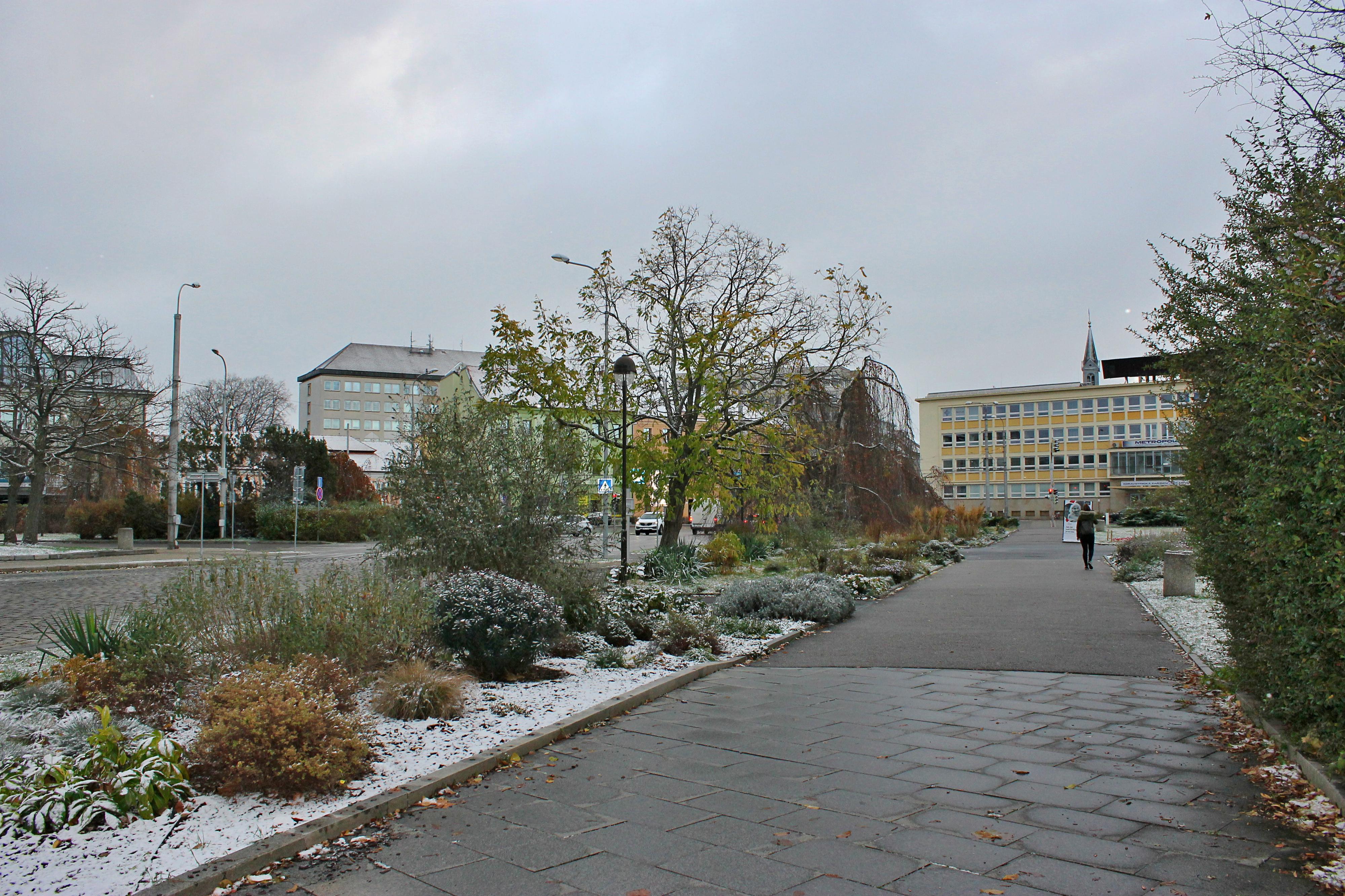 Poliklinika METROPOL foto 3
