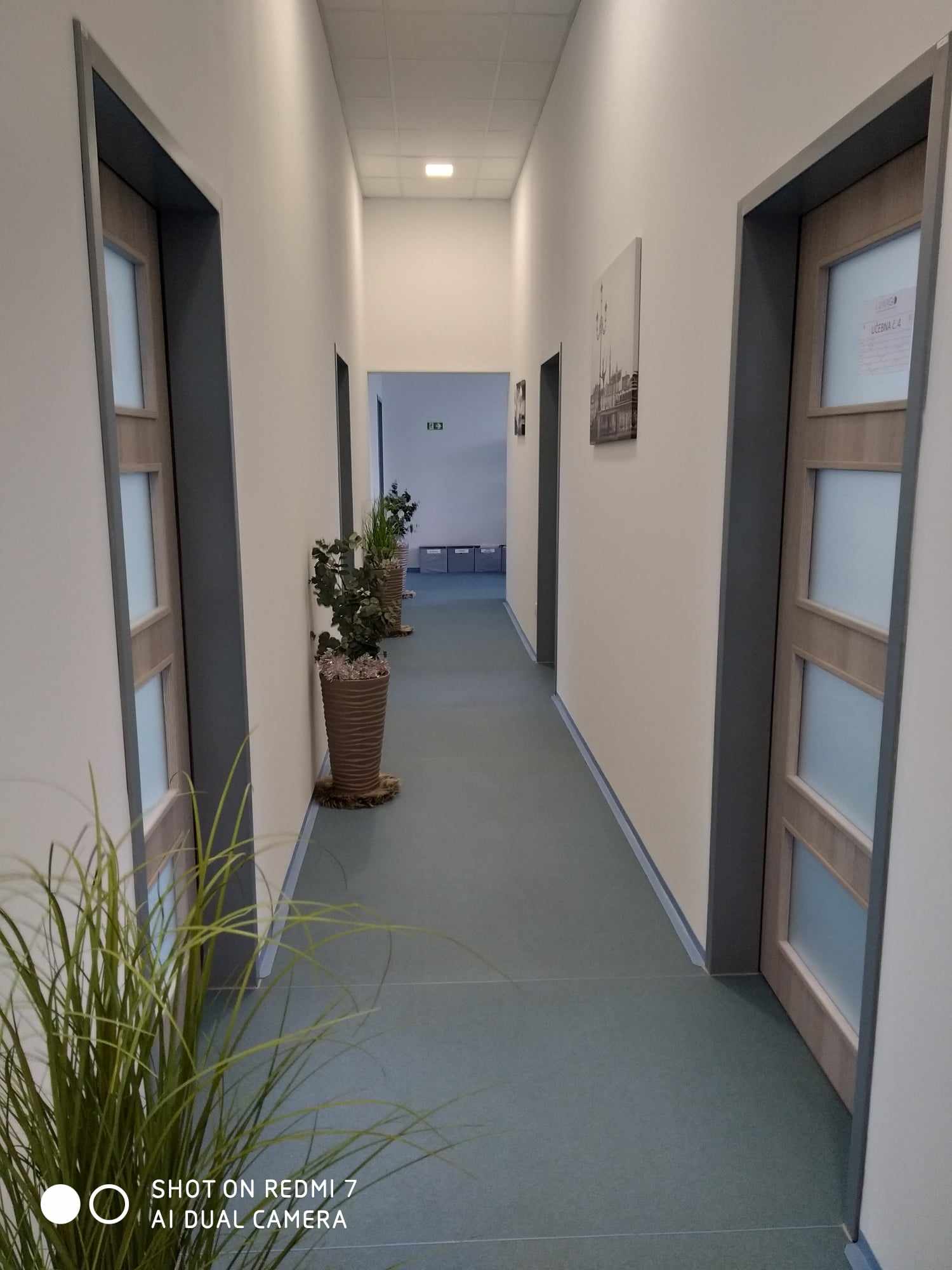 Jazyková škola LUNAGO foto 2