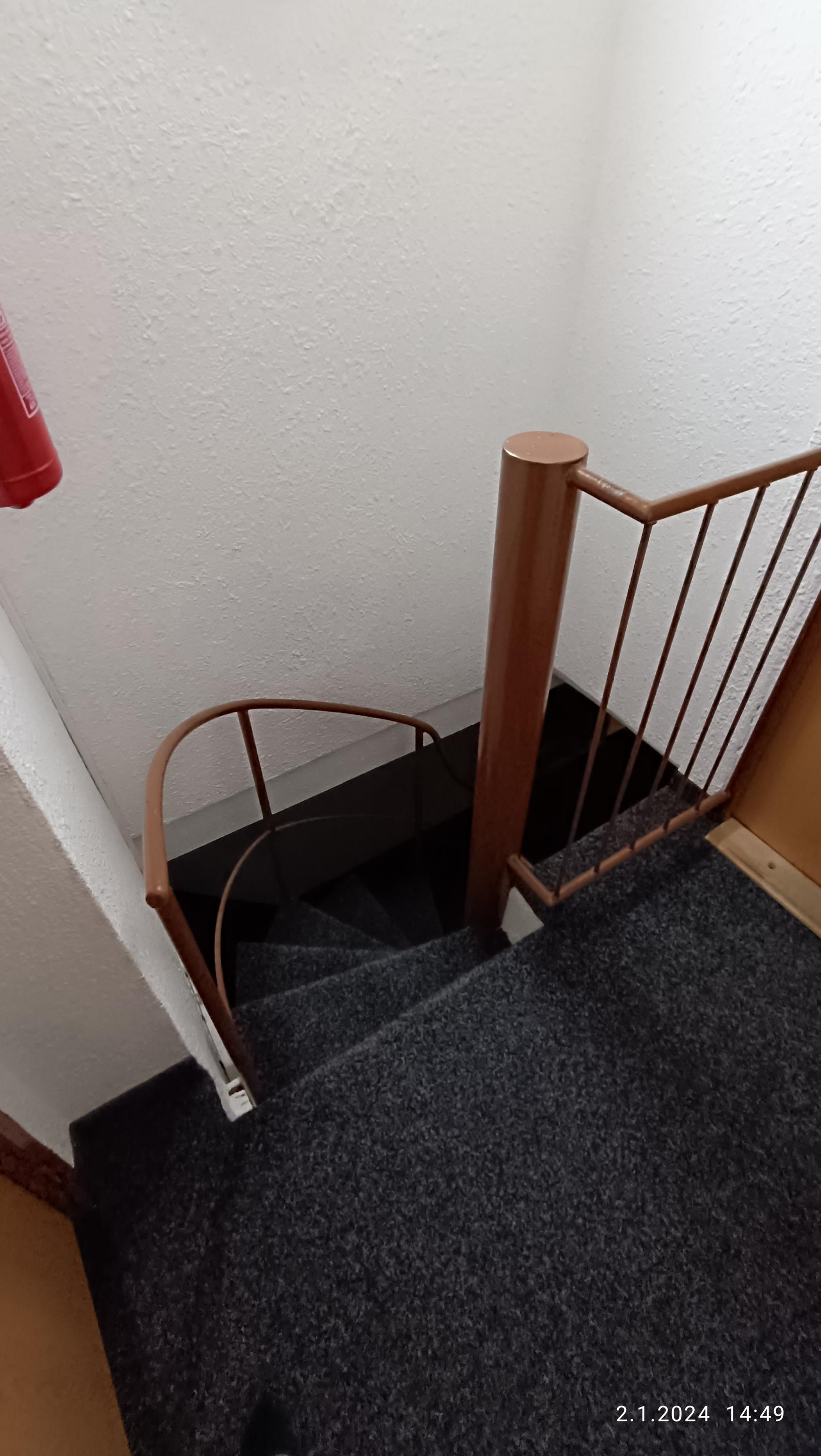 Penzion Forest foto 5