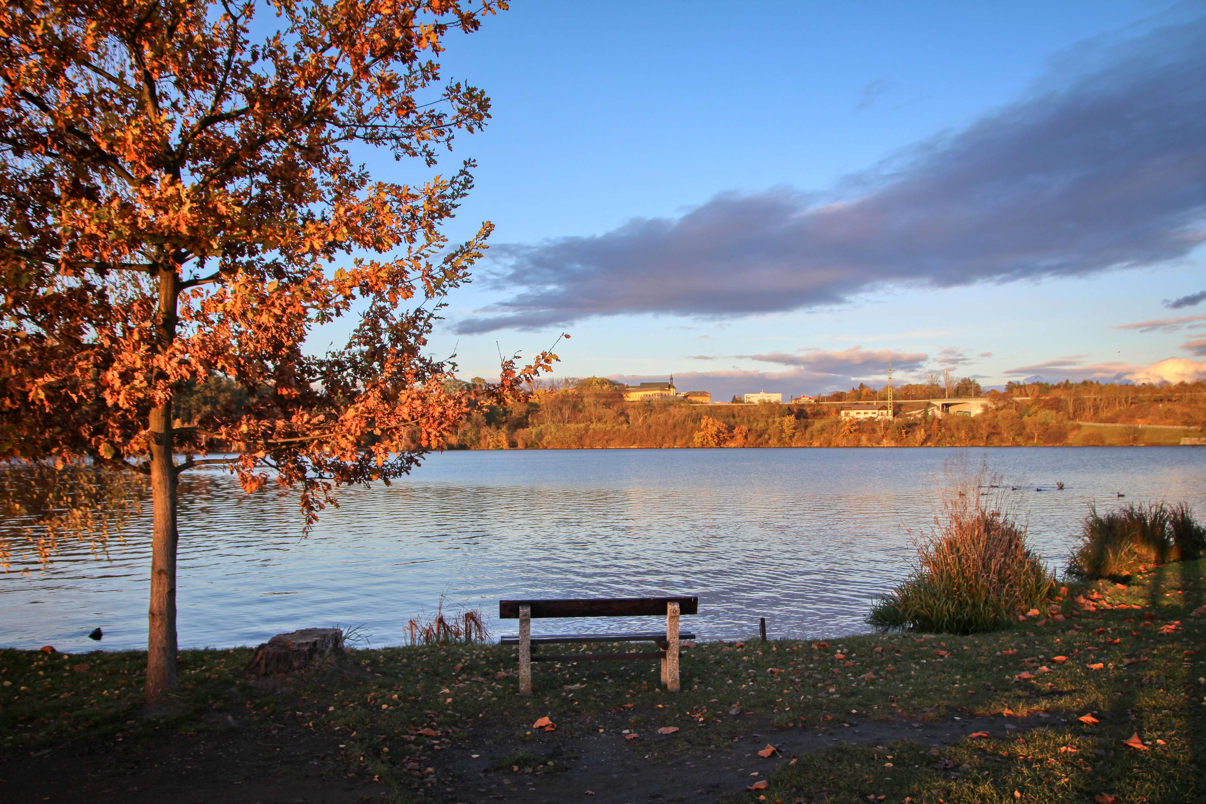 Sportovní areál Škodaland foto 5