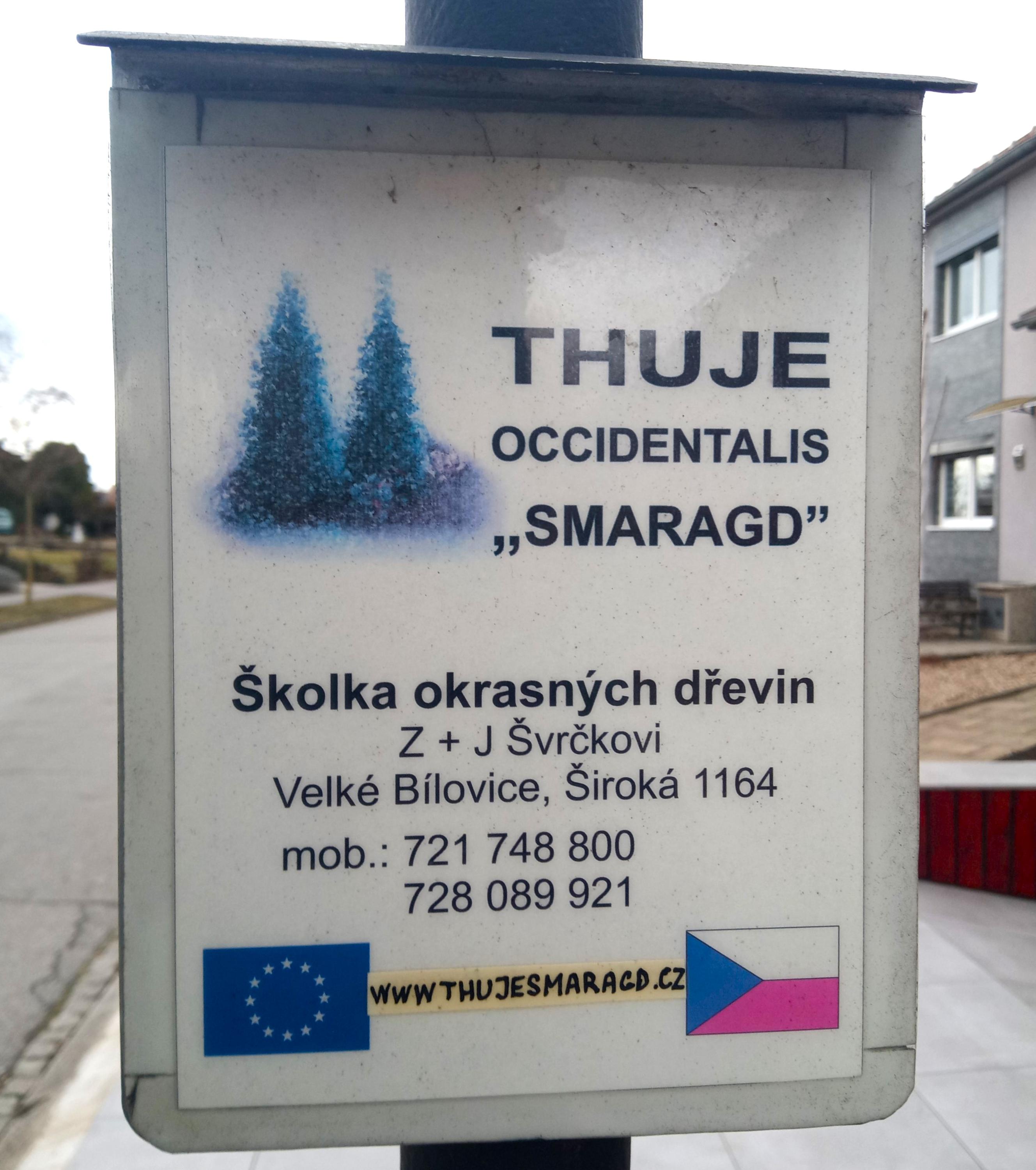 Školka okrasných dřevin Z + J Švrčkovi foto 2