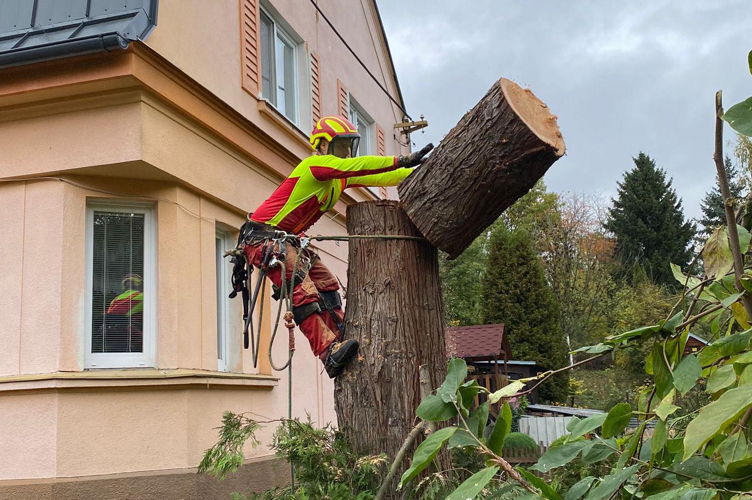 Kácení rizikových stromů..