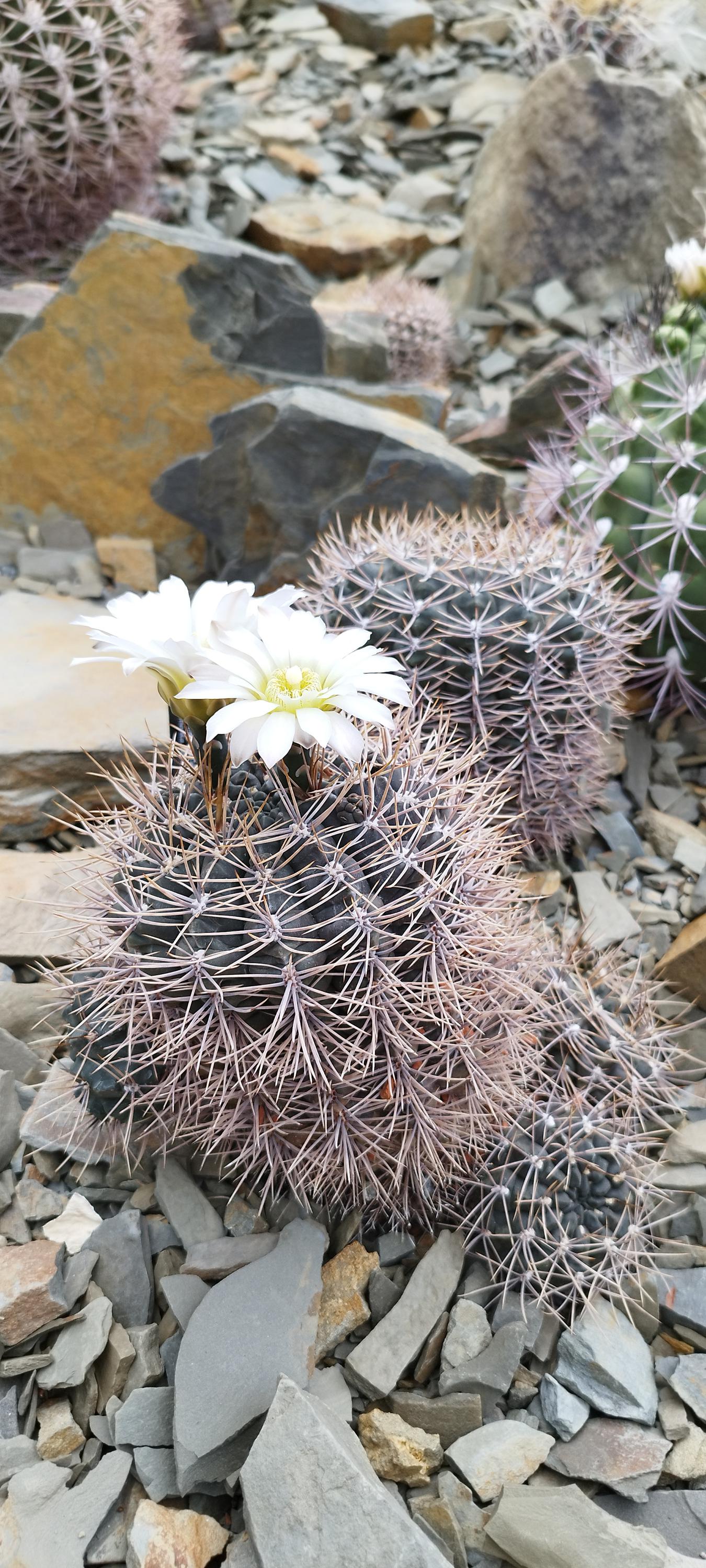 Výstaviště Flora Olomouc foto 6