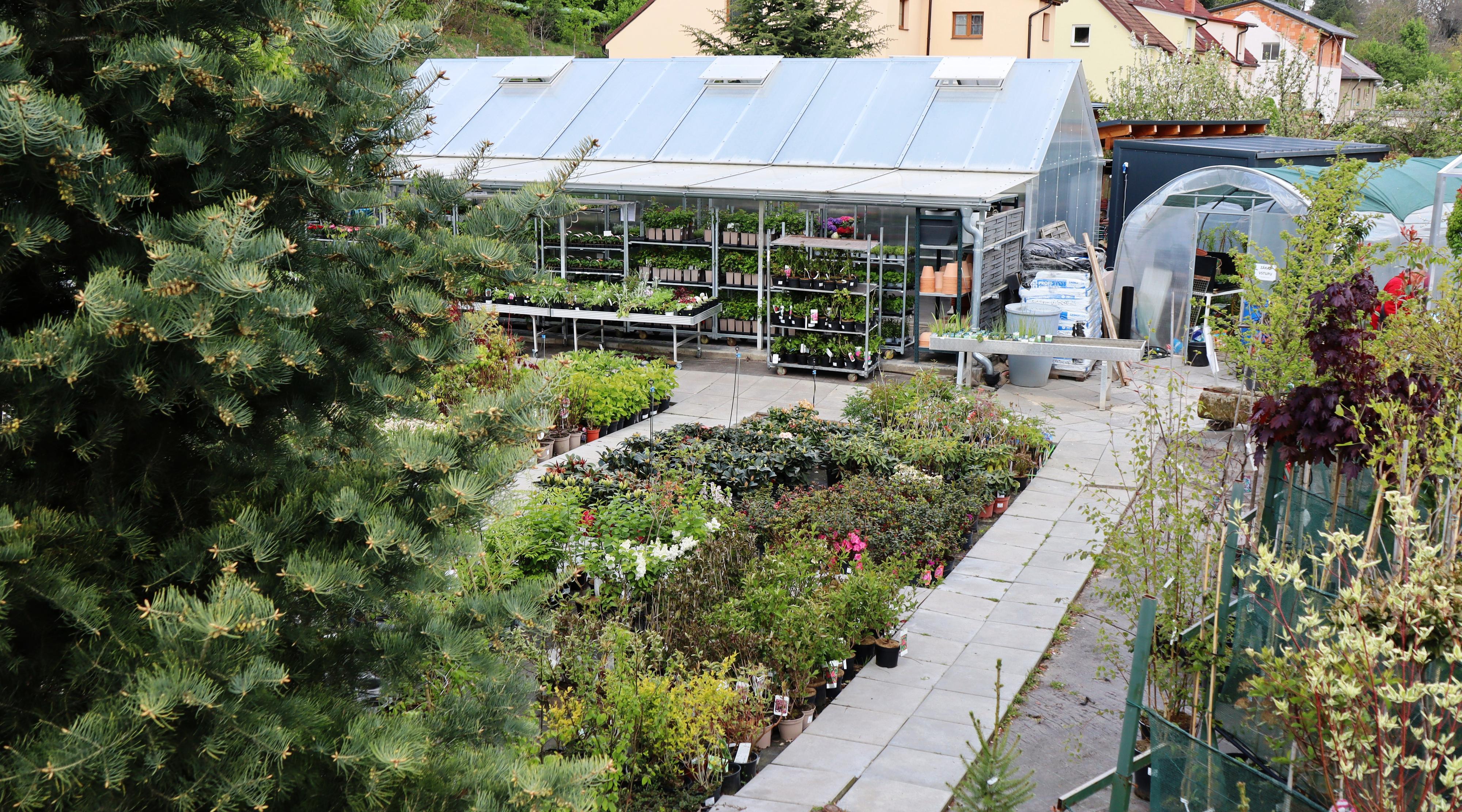 Zahradnictví Chrudim s.r.o. foto 3