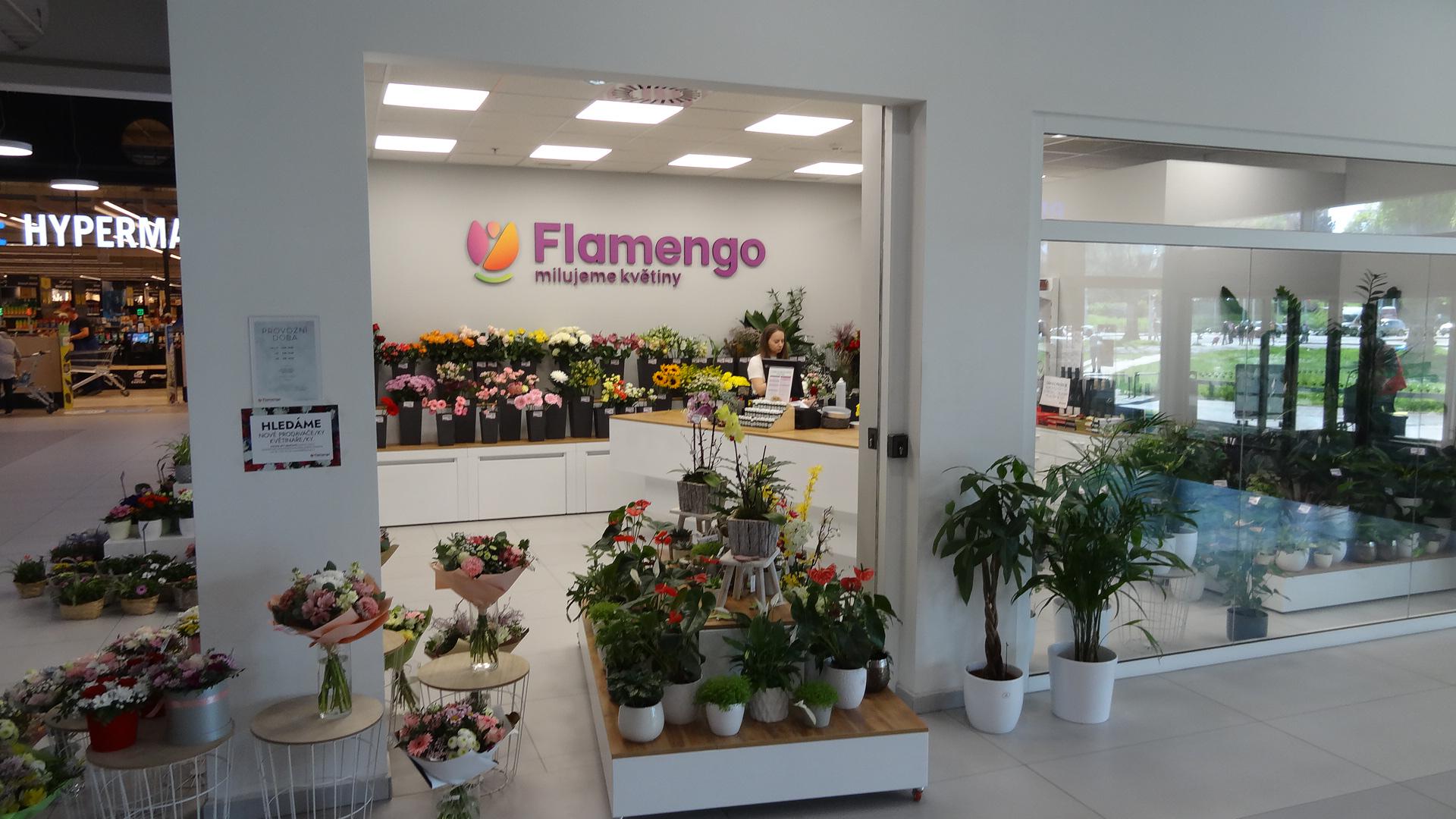 Flamengo květiny foto 2