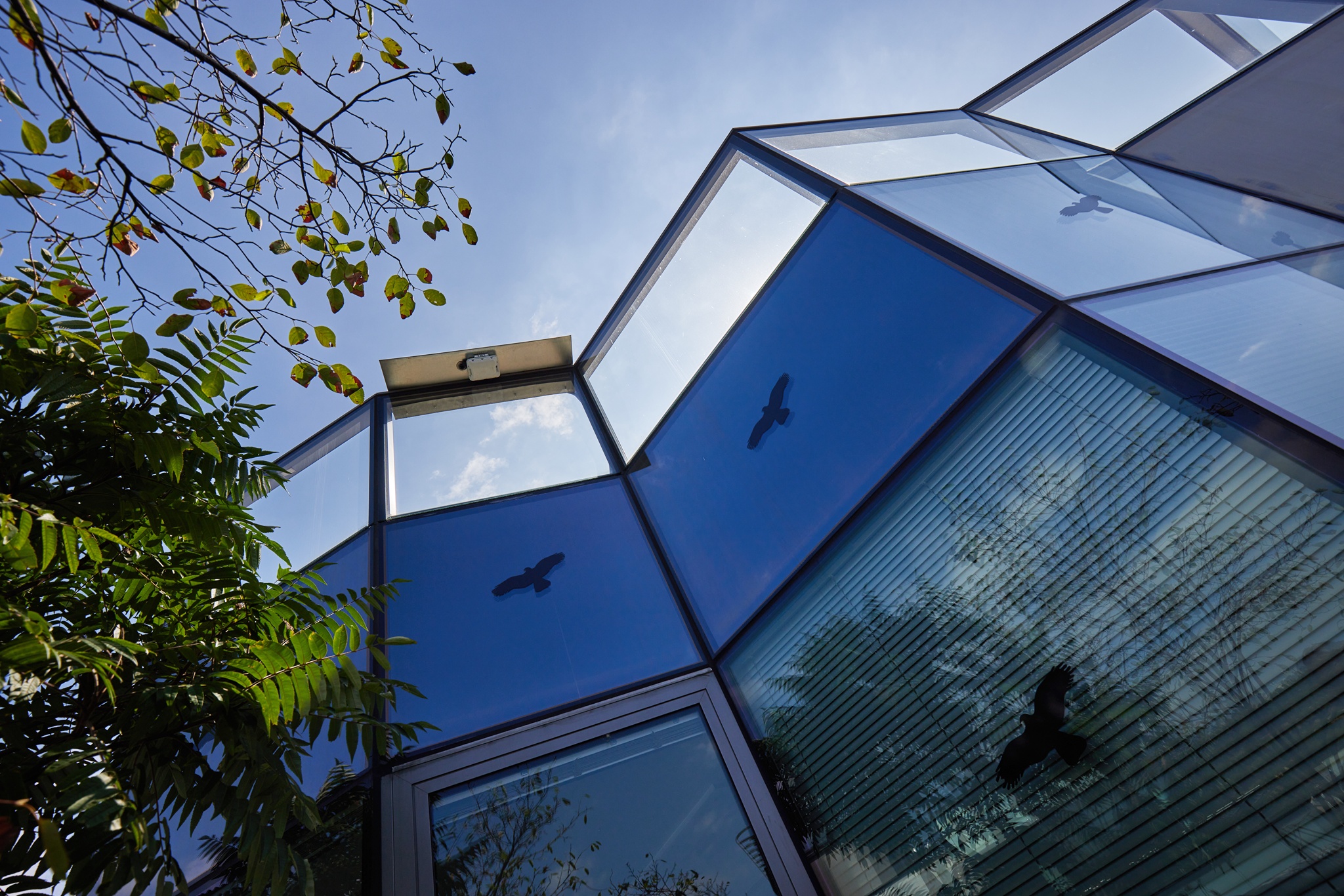 IDEA office building foto 5