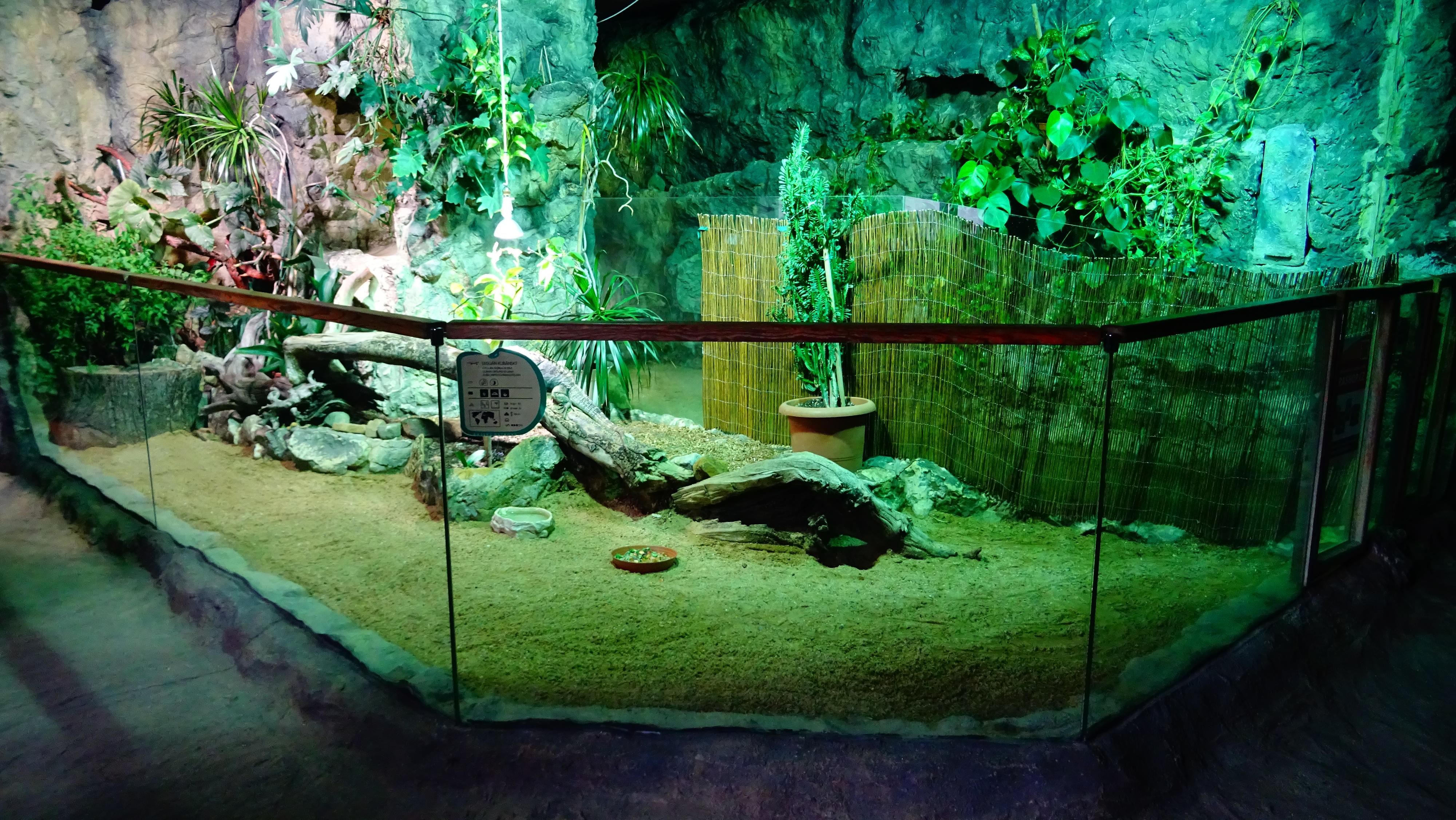 Zoo Děčín - Rajské ostrovy foto 2