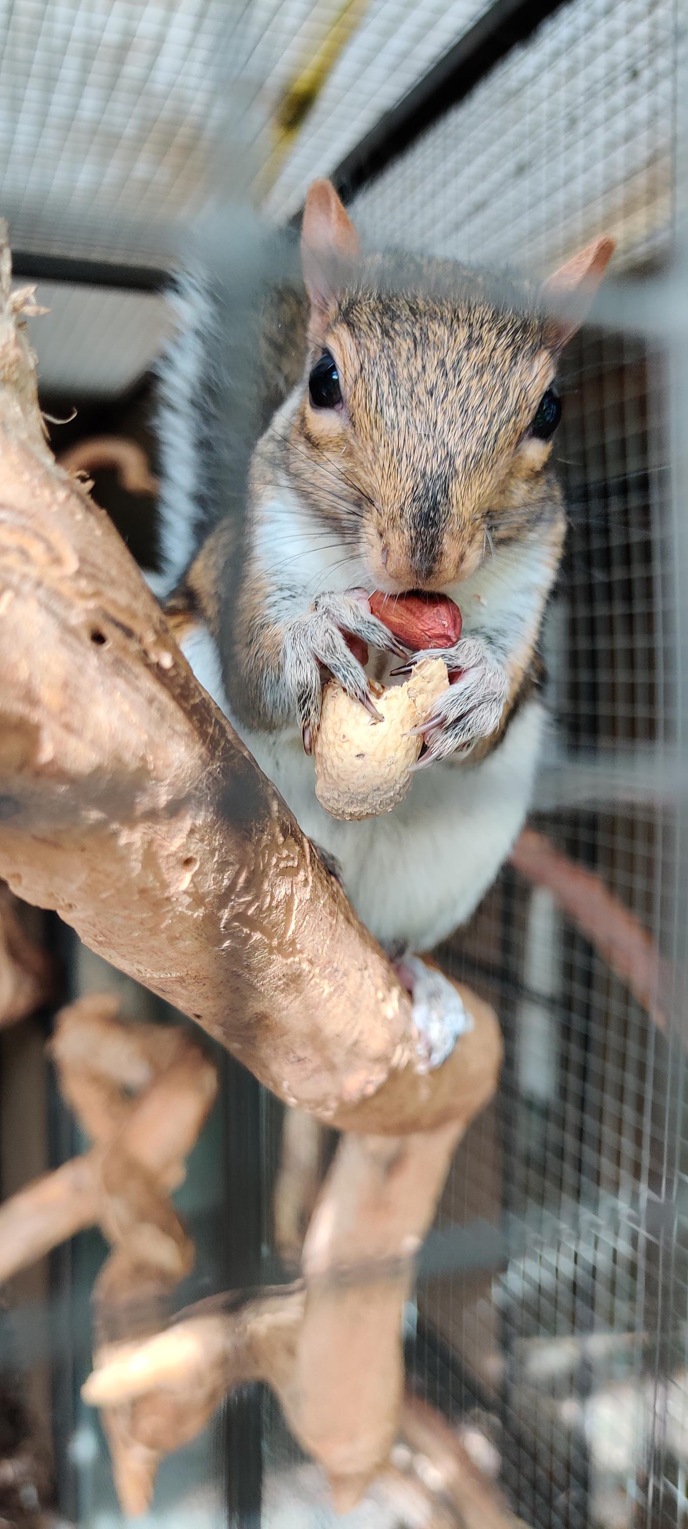 Zoo Sedlec foto 4