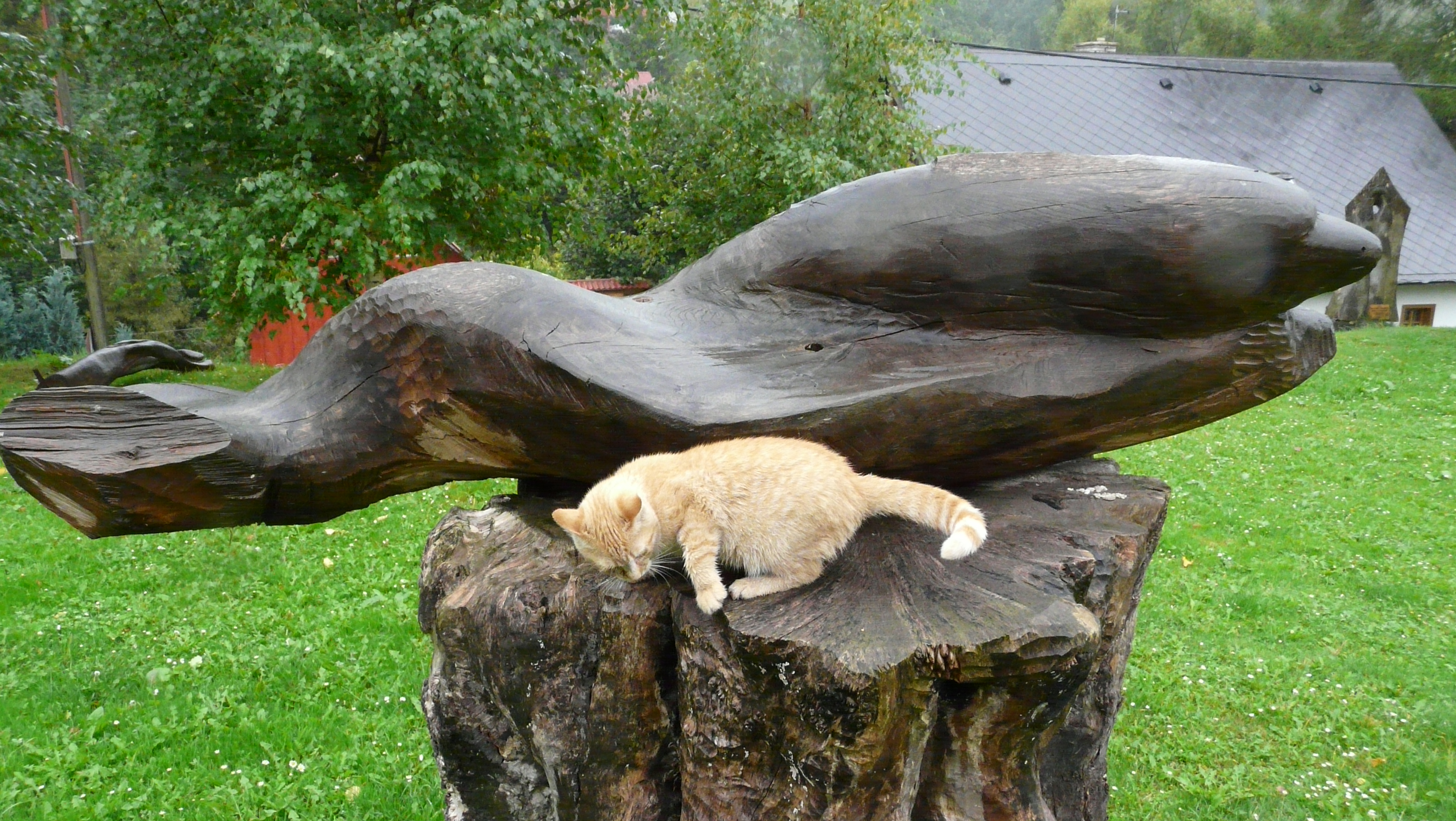 Muzeum a Galerie Starý kravín foto 2