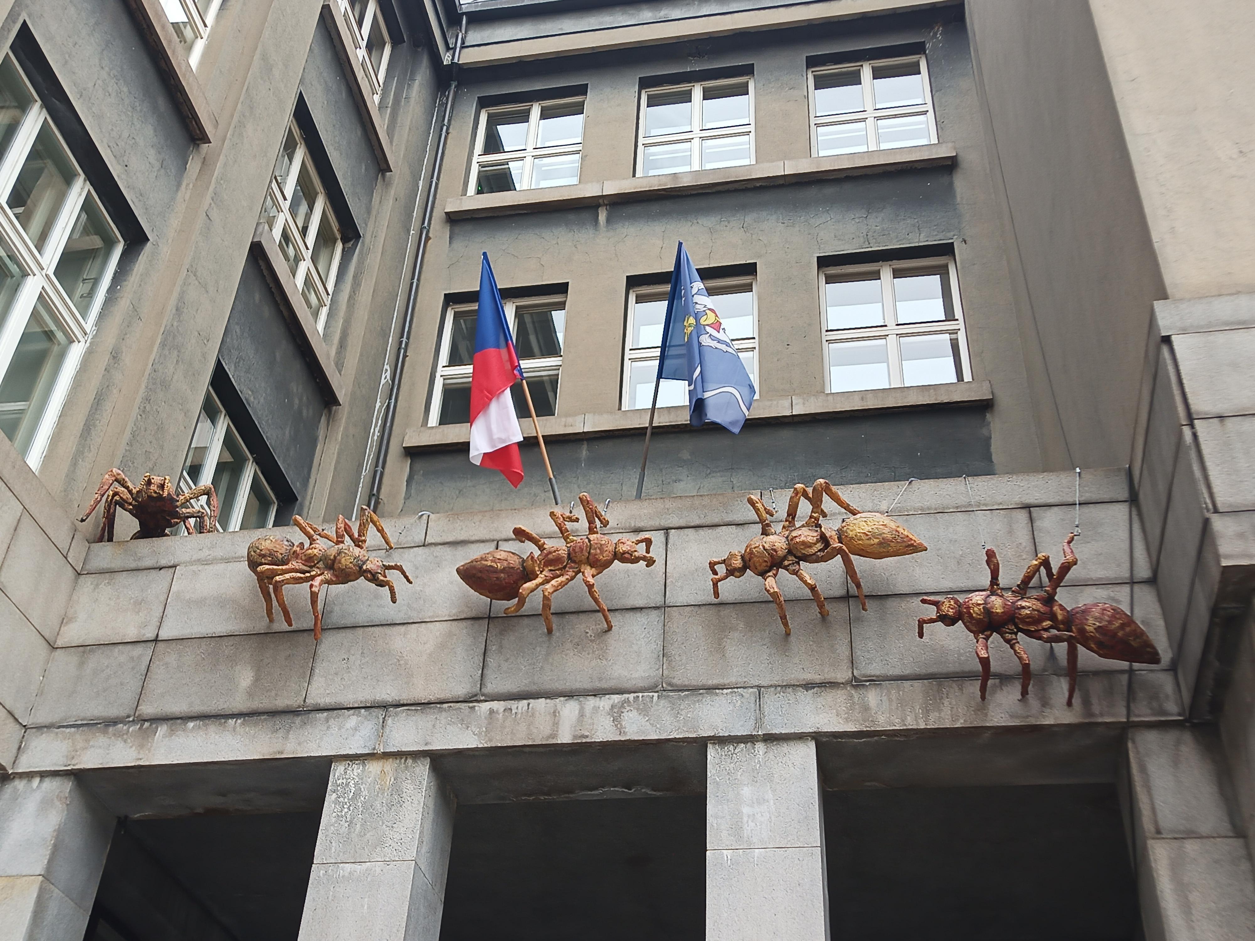Úřad městského obvodu Ostrava - Moravská Ostrava a Přívoz foto 4