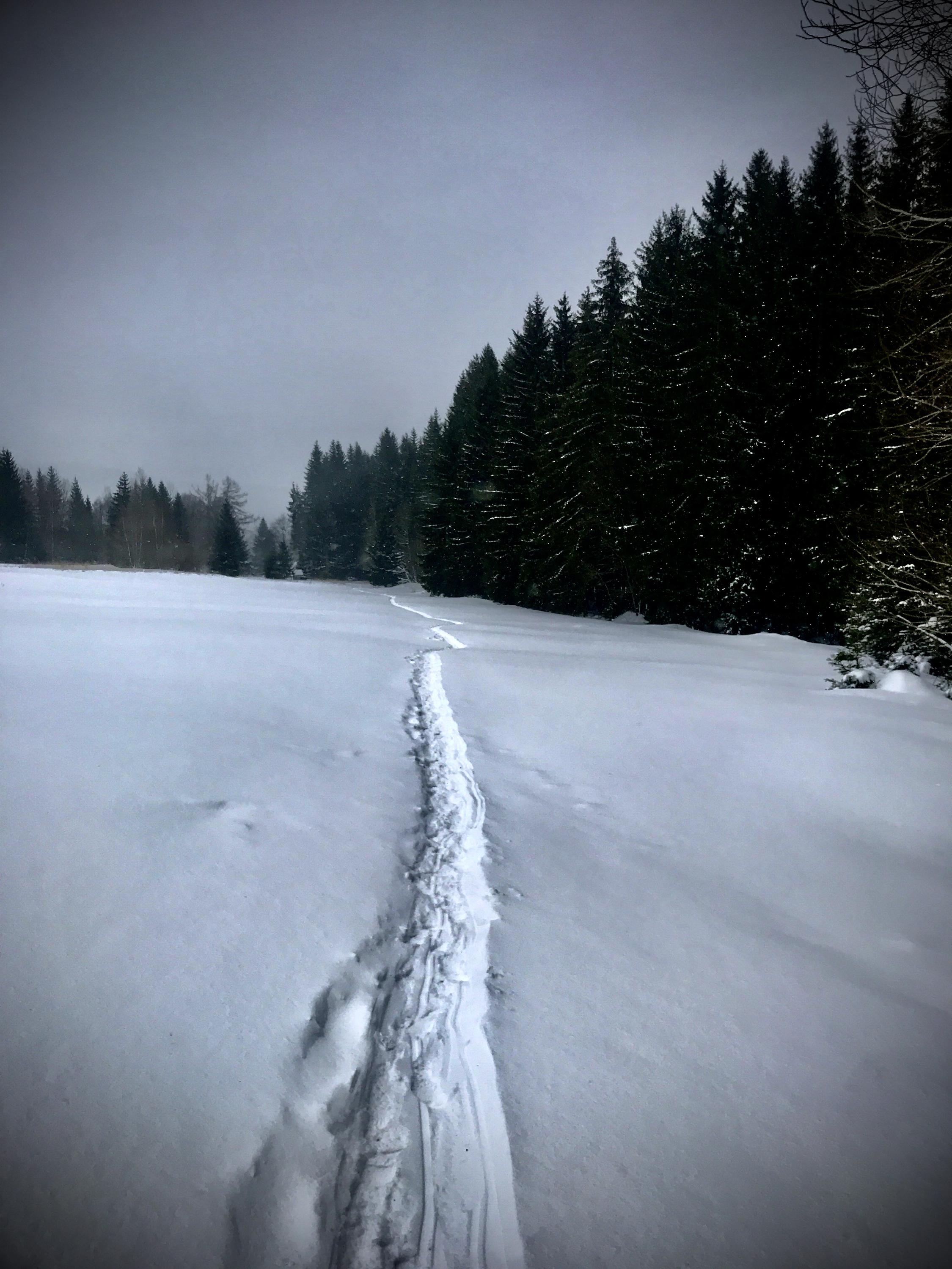 Lyžařský vlek U lesa foto 5