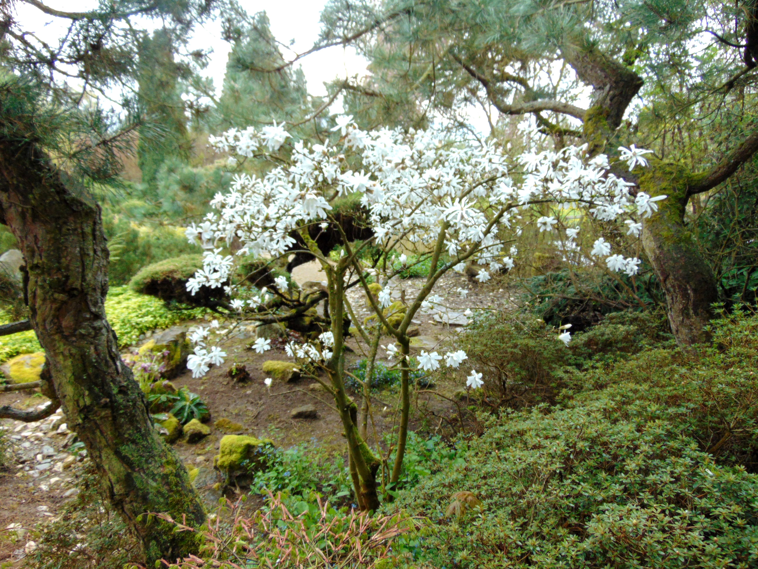 Arboretum - František Chlup foto 5