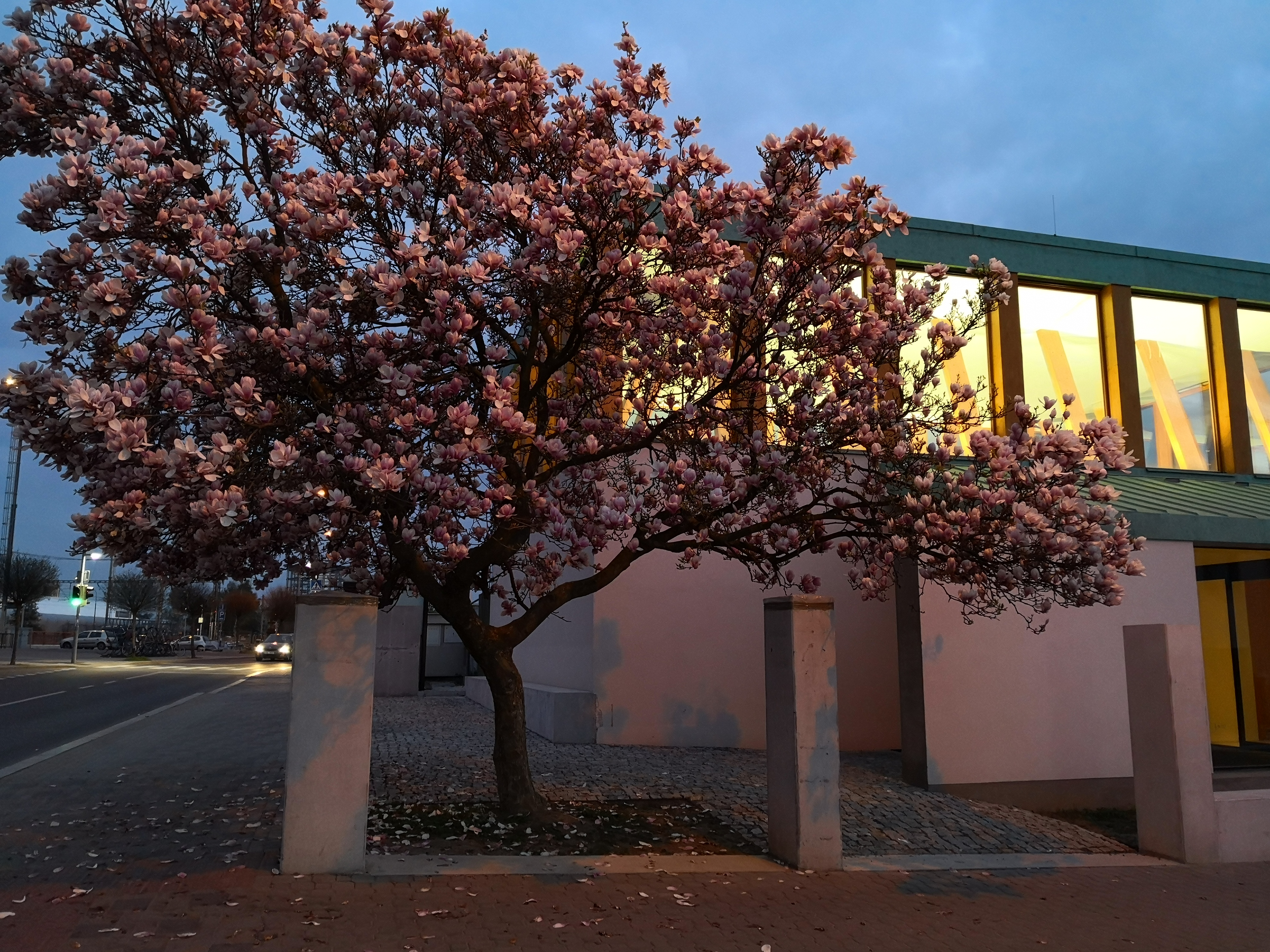 Kostel Naproti foto 4