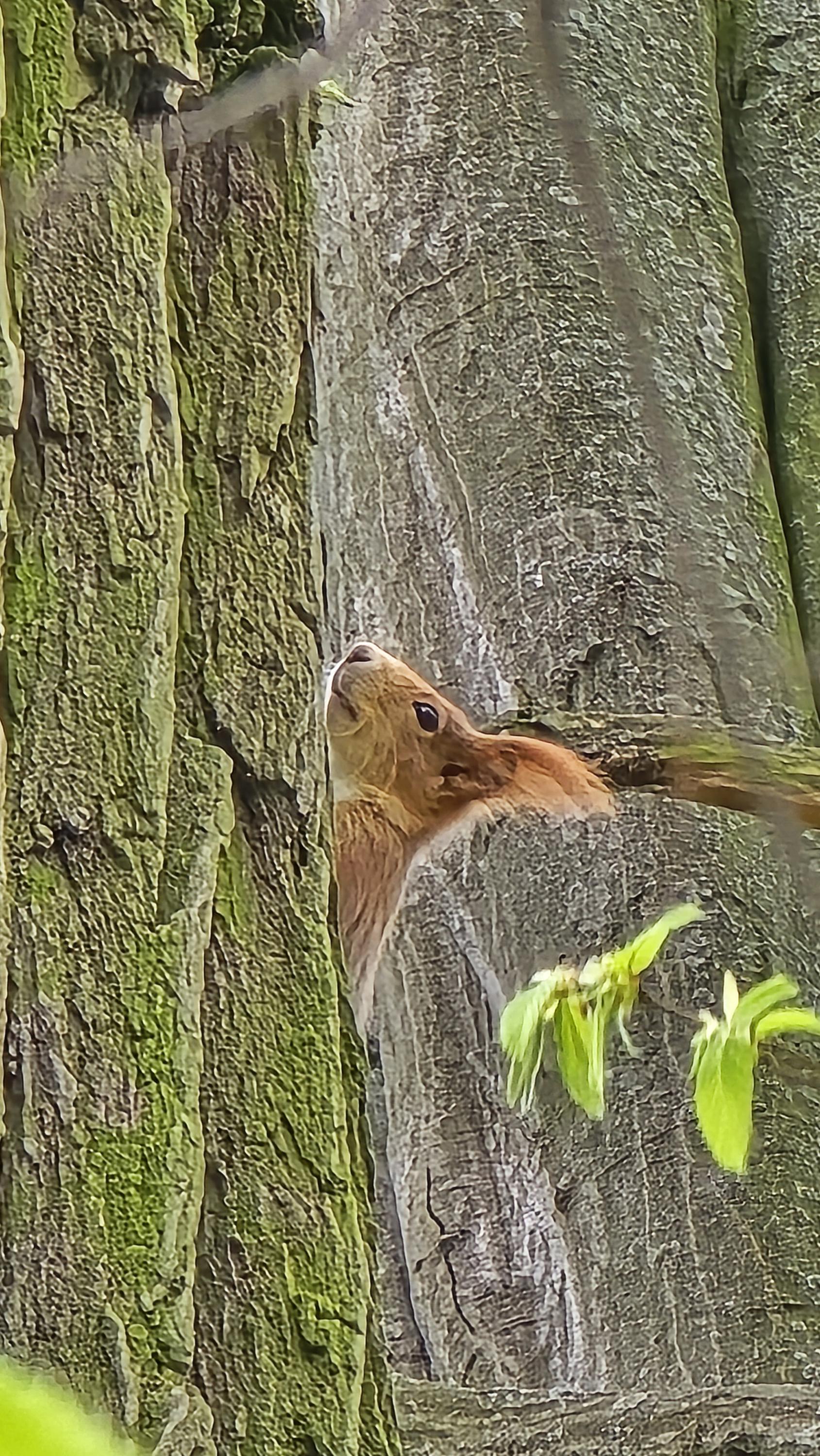 Státní Zámek Židlochovice foto 5