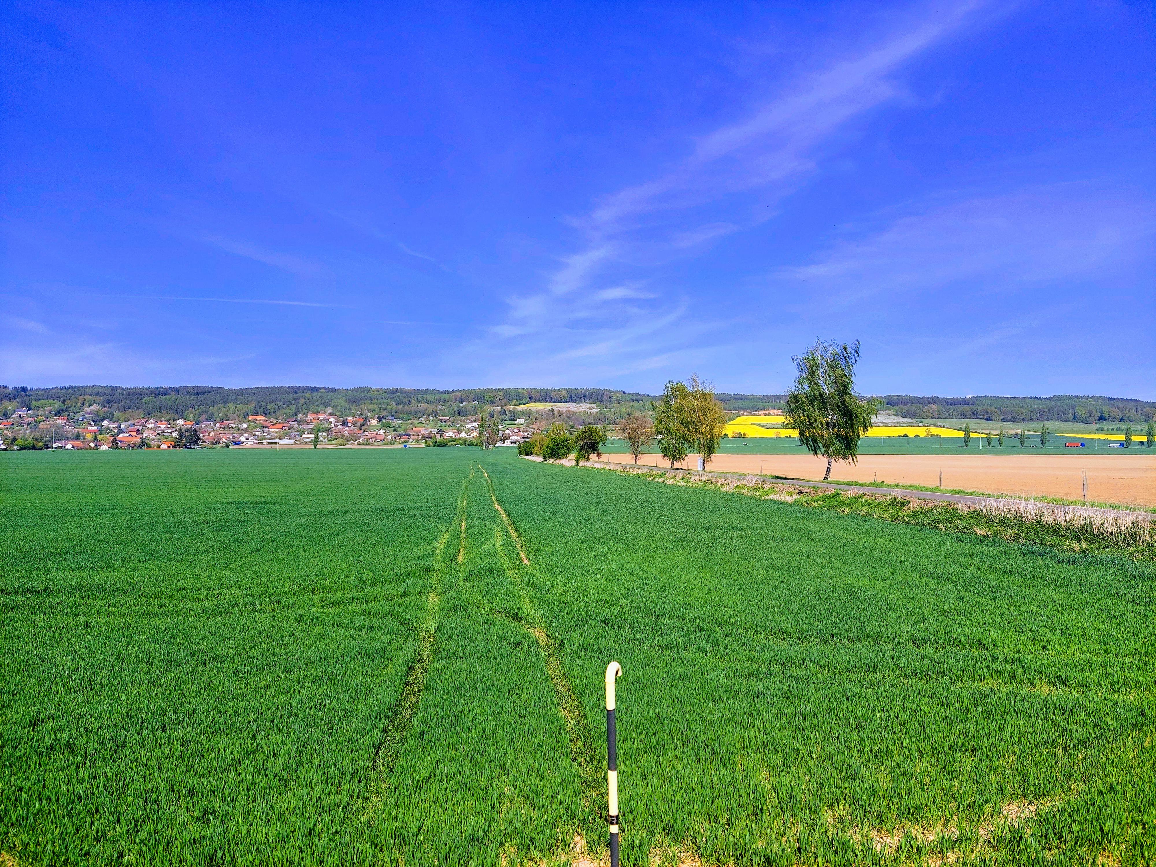 Podhorní Újezd a Vojice - obecní úřad foto 2