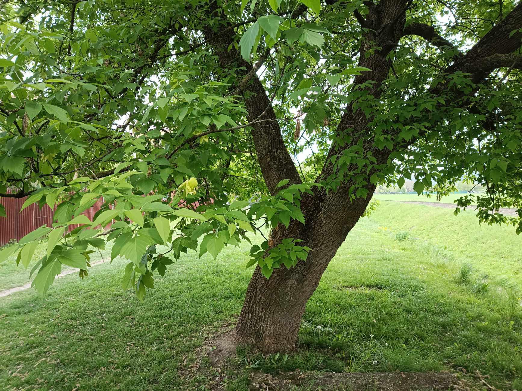 Sigmundova střední škola strojírenská, Lutín foto 6