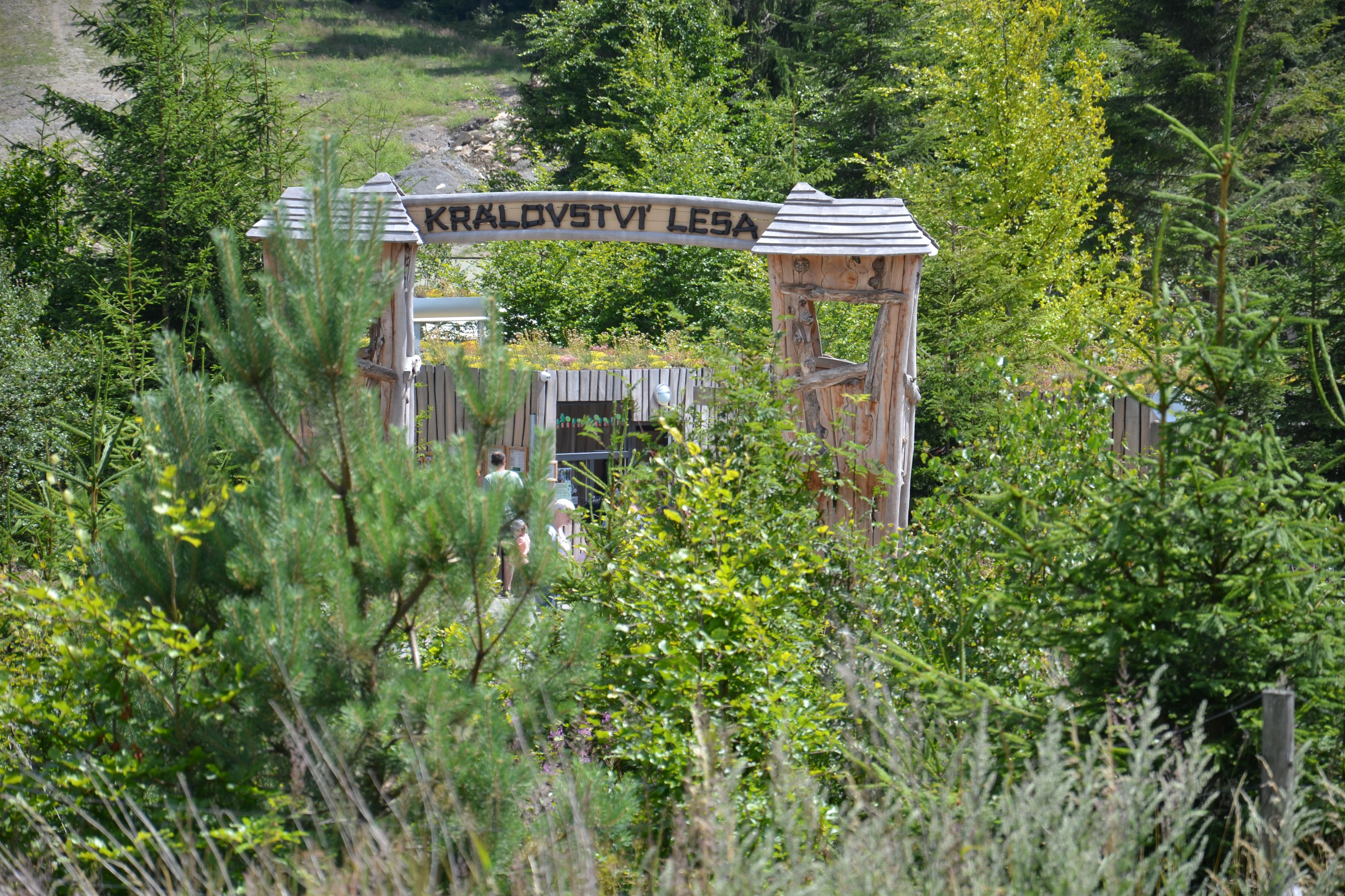 Království lesa Lipno foto 4