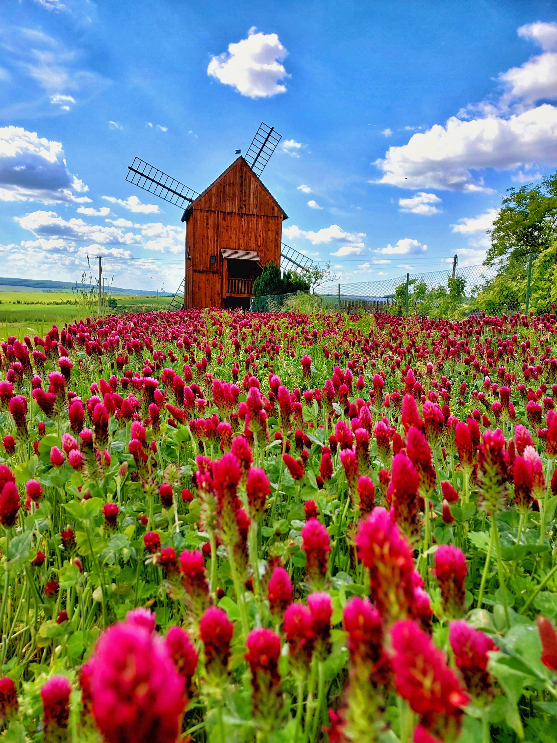 Větrný mlýn Velké Těšany foto 5