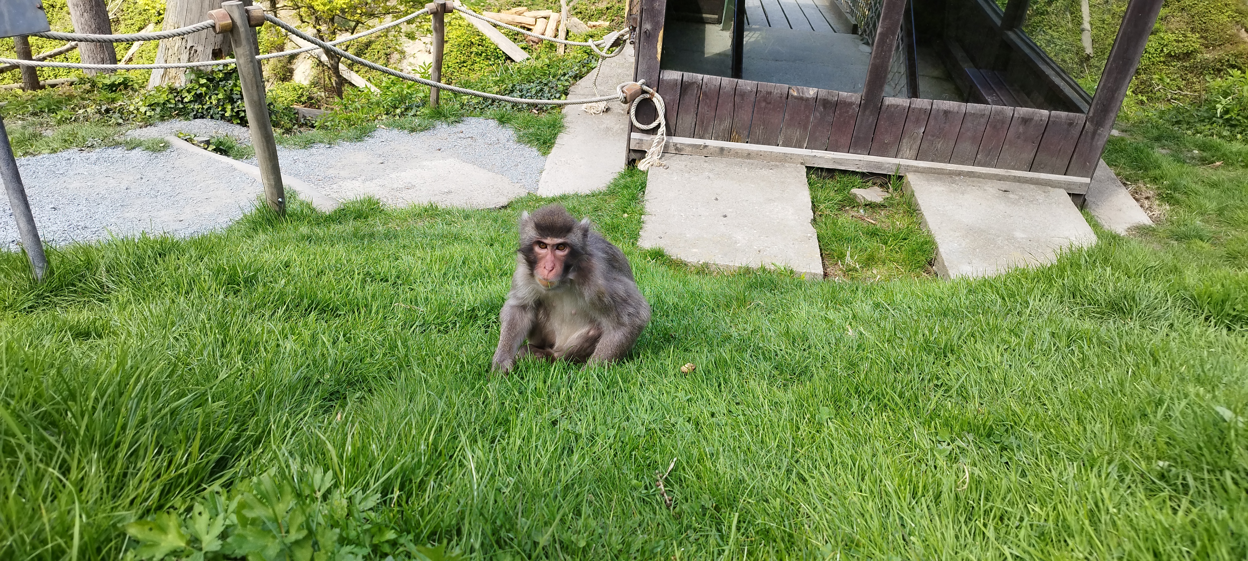 ZOOOLOMOUC foto 6