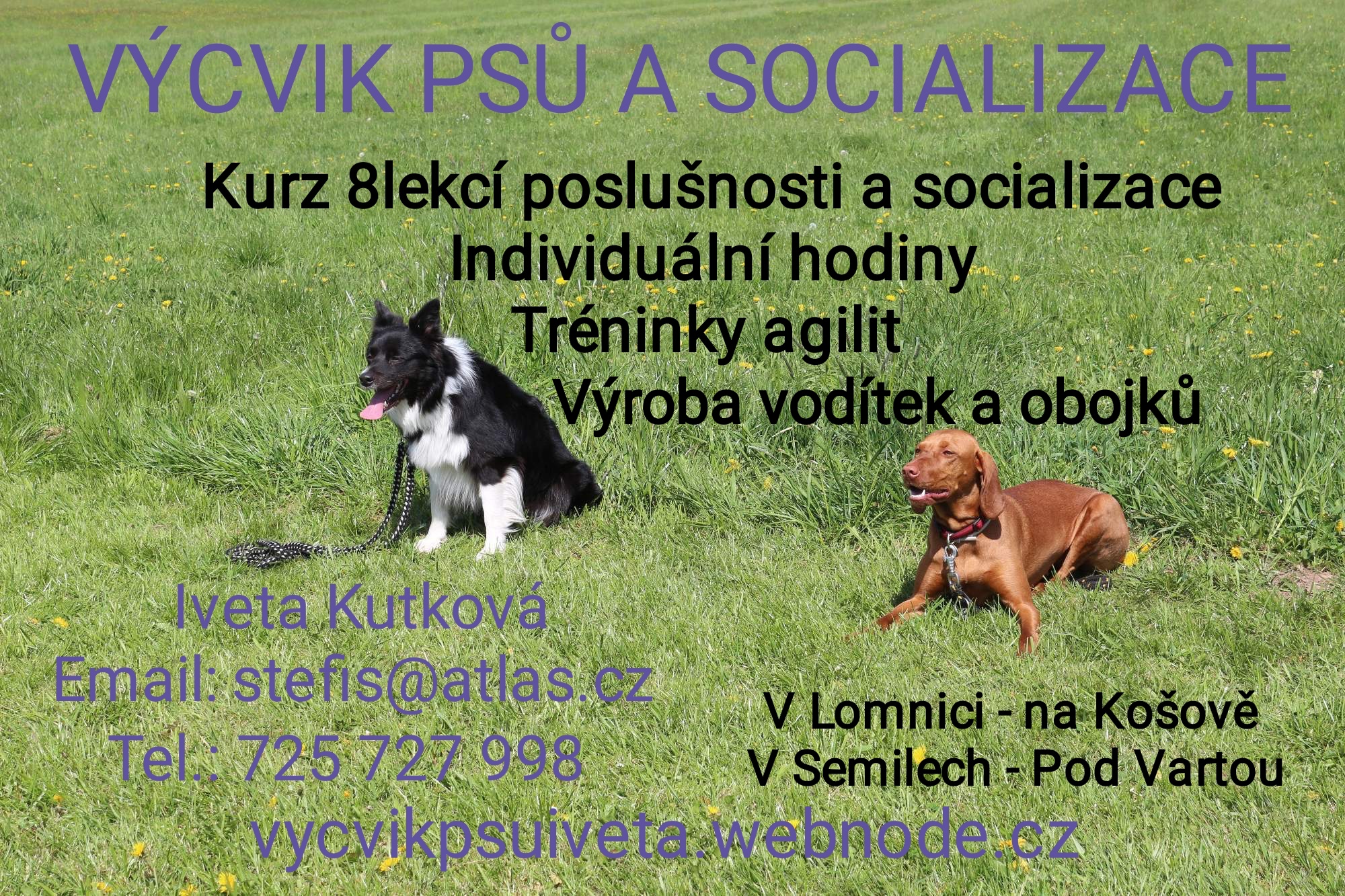 Iveta Kutková - výcvik psů, agility foto 2