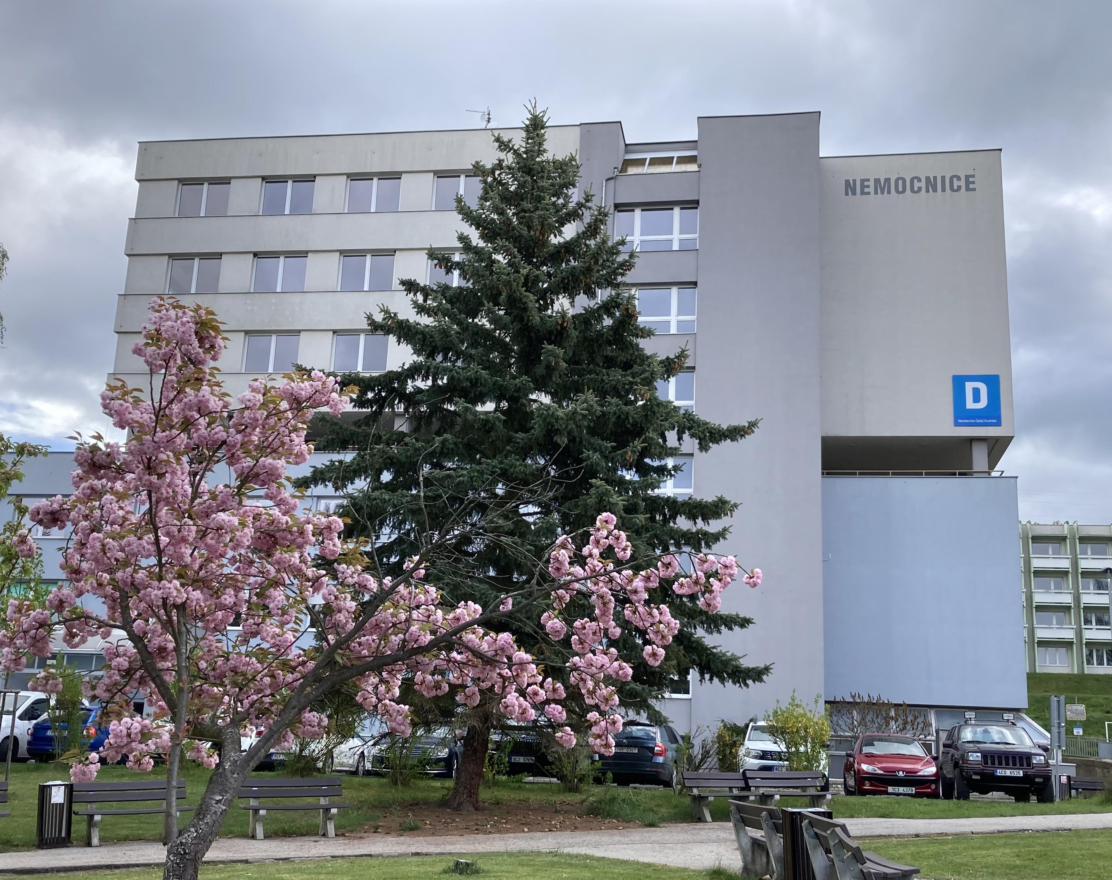 Nemocnice Český Krumlov, a.s. foto 4