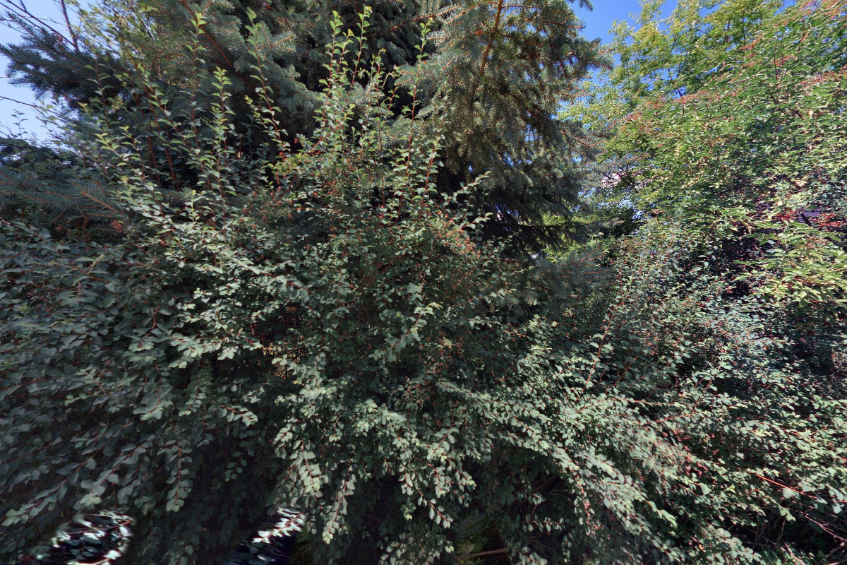 Chata u řeky Orlice