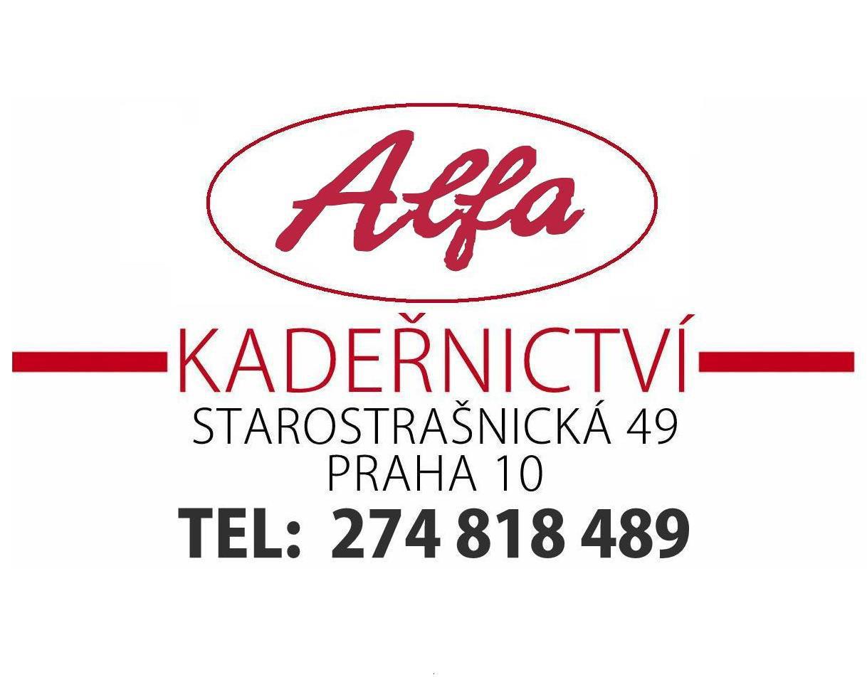 Kadeřnictví Alfa - Wella HAIR STUDIO foto 2