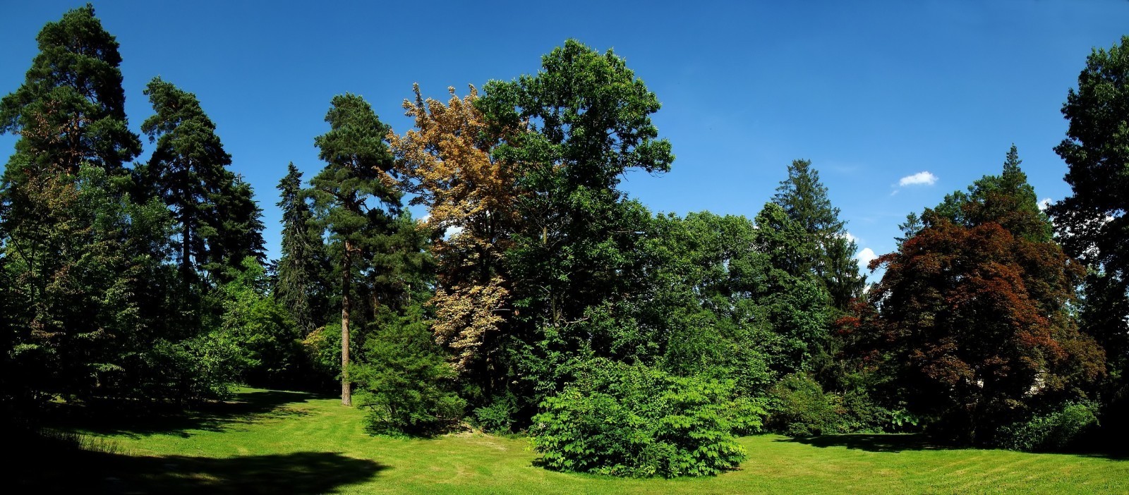 Arboretum Nový Dvůr foto 1