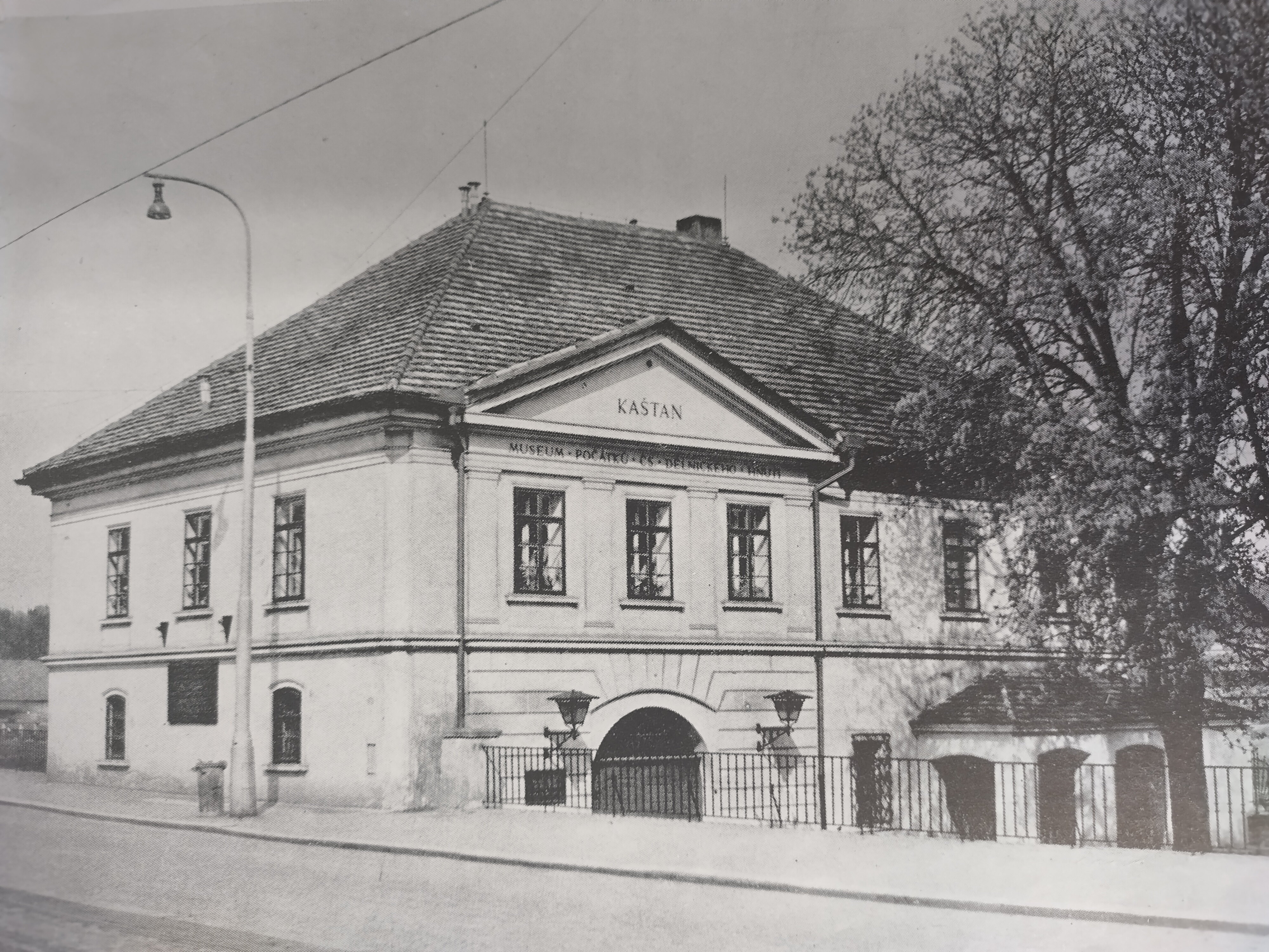 PopMuseum foto 6