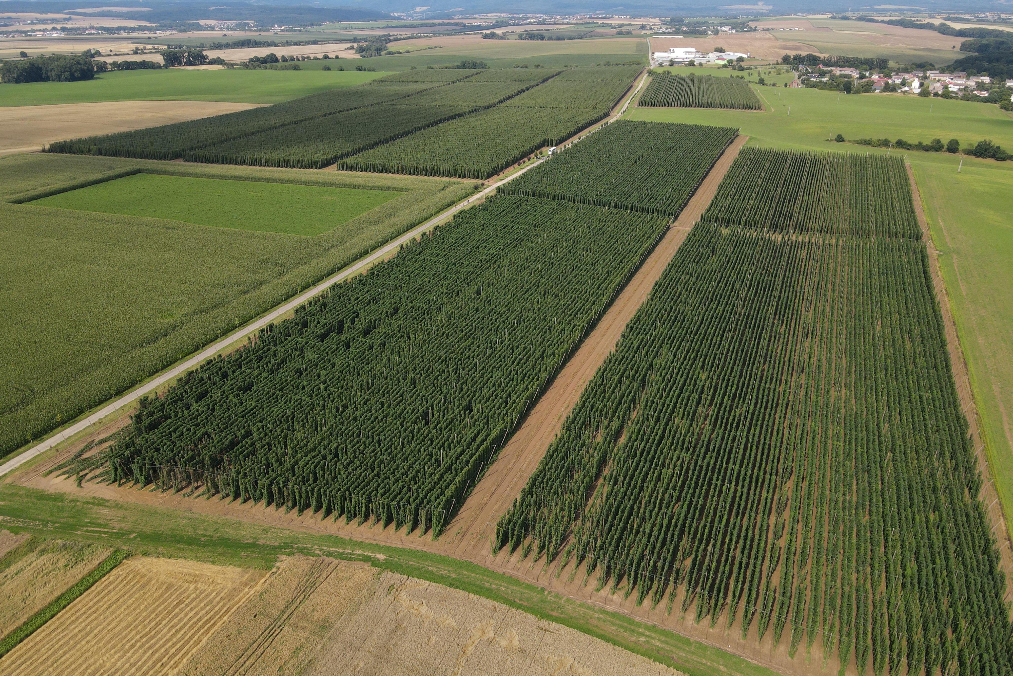 AGRA Velký Týnec, a.s.