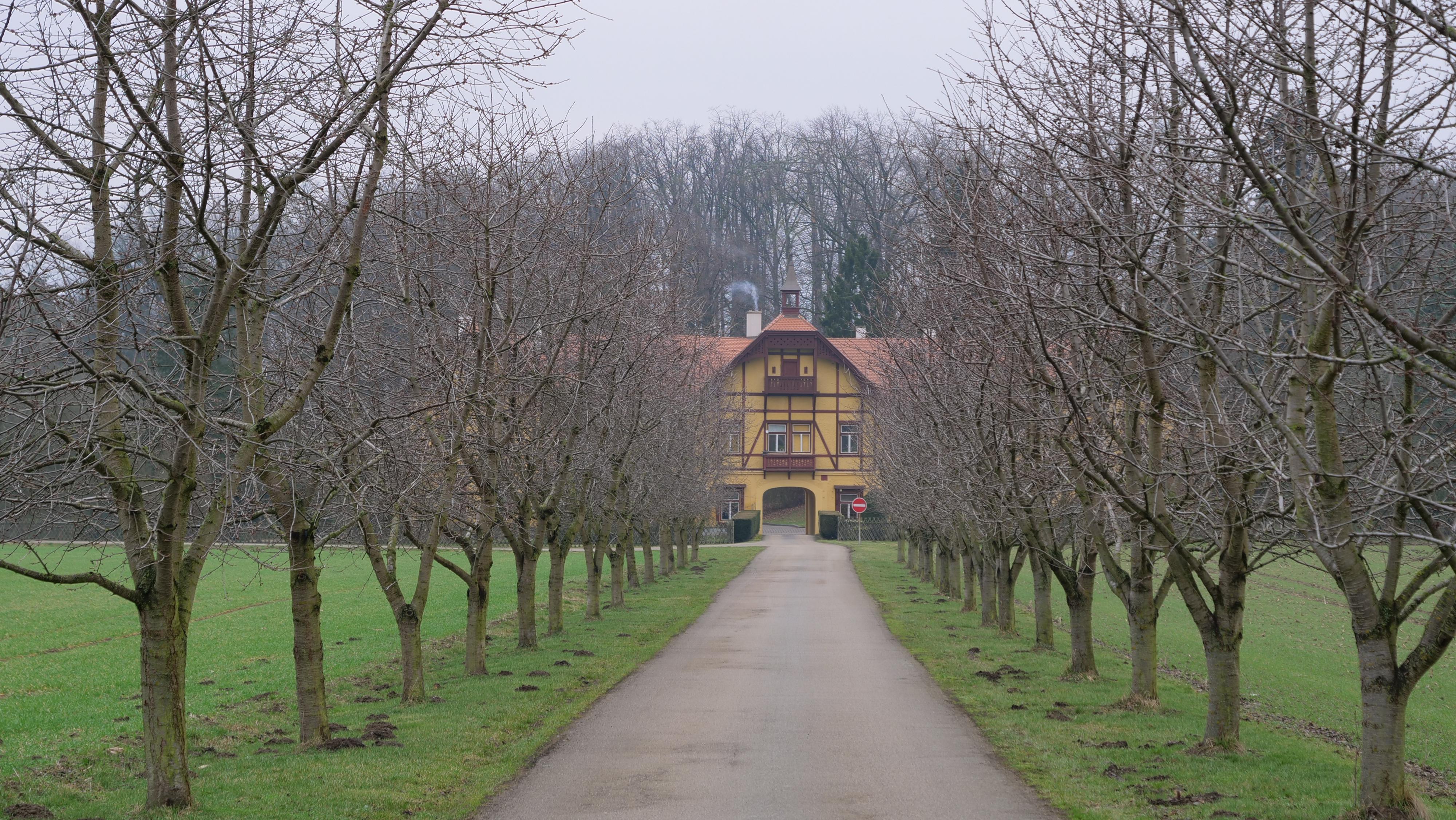 Lesy České republiky - Lesní závod Konopiště foto 3