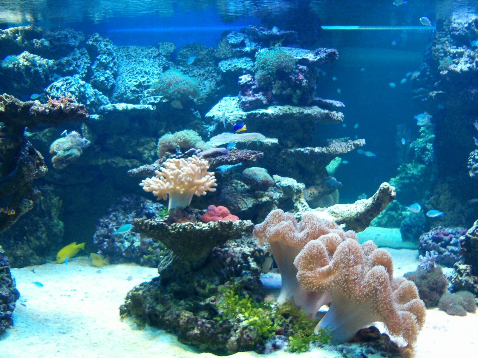 Zoo Děčín - Rajské ostrovy foto 4