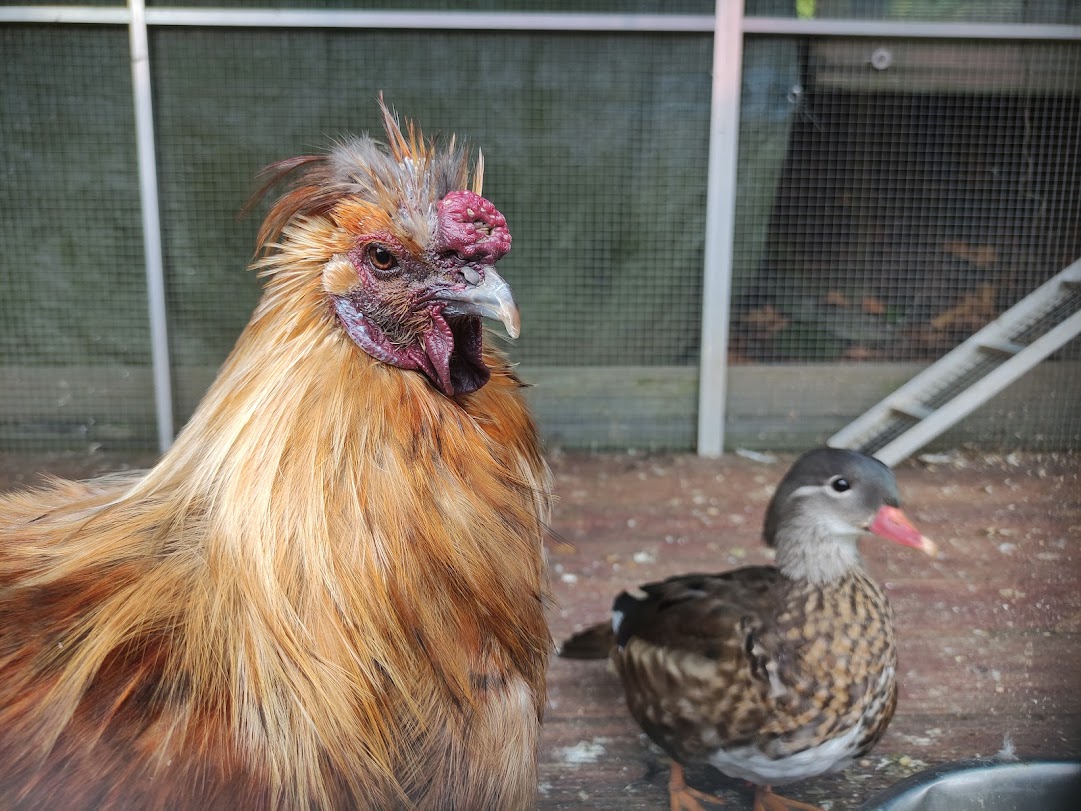 TROPIC HUKVALDY - Stanislav Rek foto 5