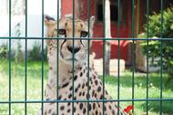 Fotografie ZOO Chleby, o.p.s.